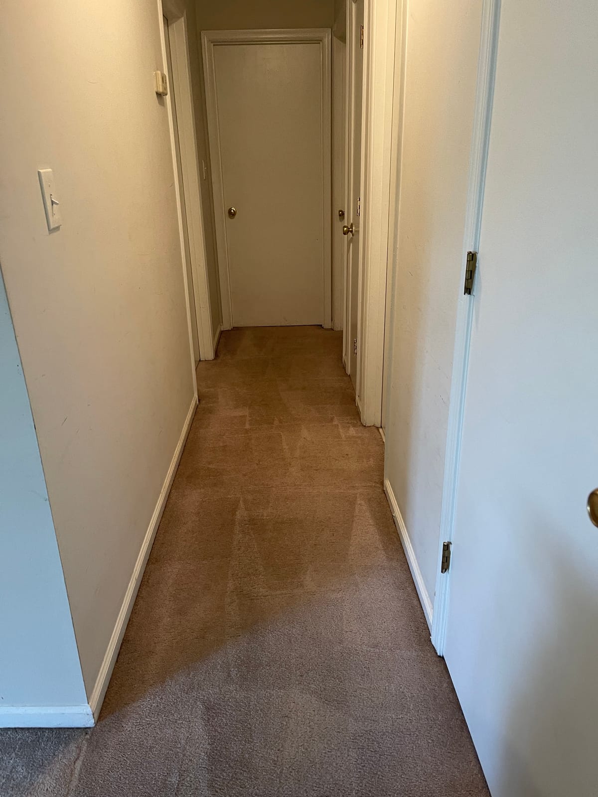Mytee - Contractor's Special Heated Carpet Extractor customer photo 1
