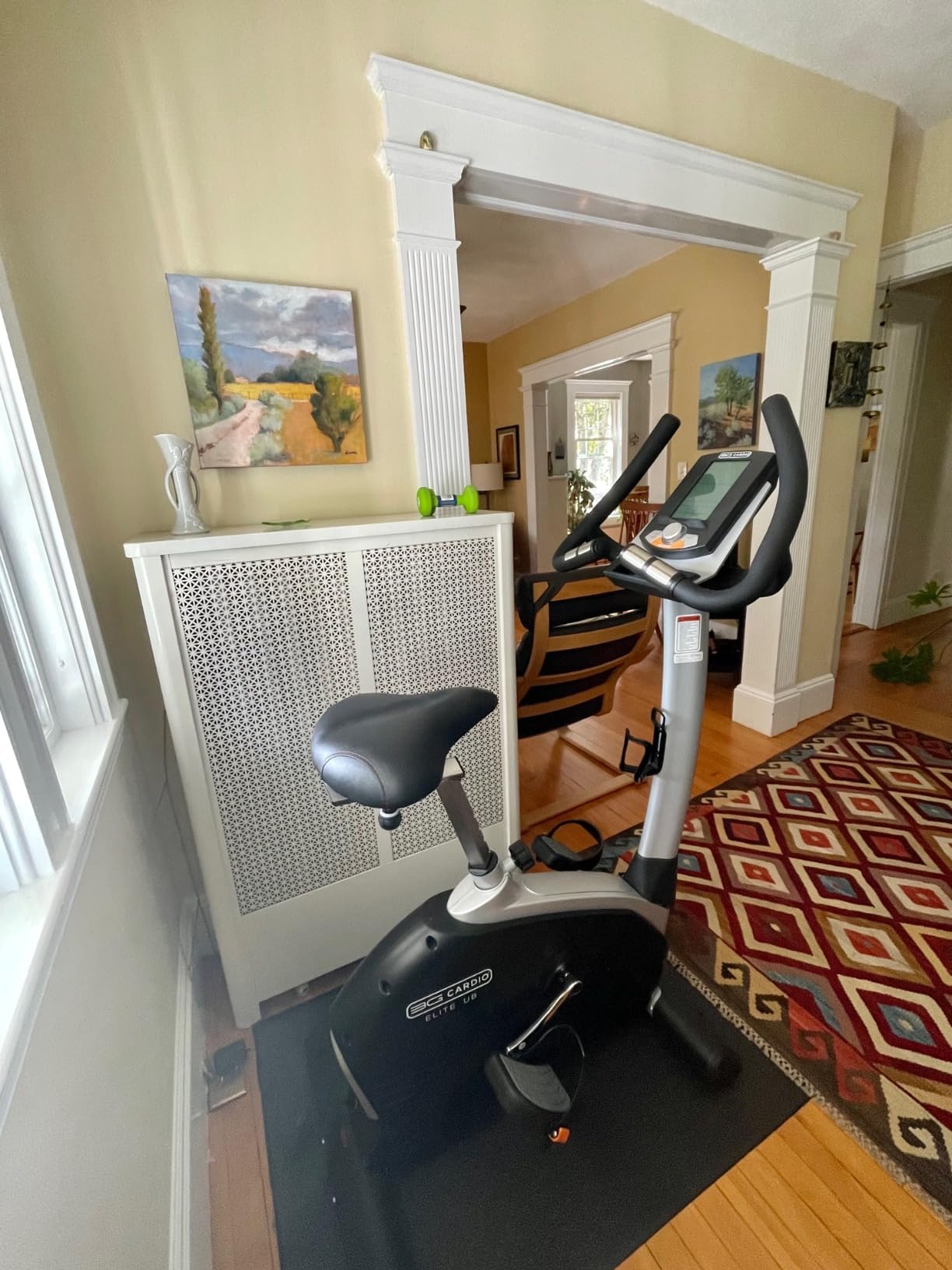 3G Cardio Elite UB Upright Bike - Commercial Grade - Compact Footprint - Ultra Comfortable Seat - Magnetic Resistance - 350 lbs Capacity customer photo 1