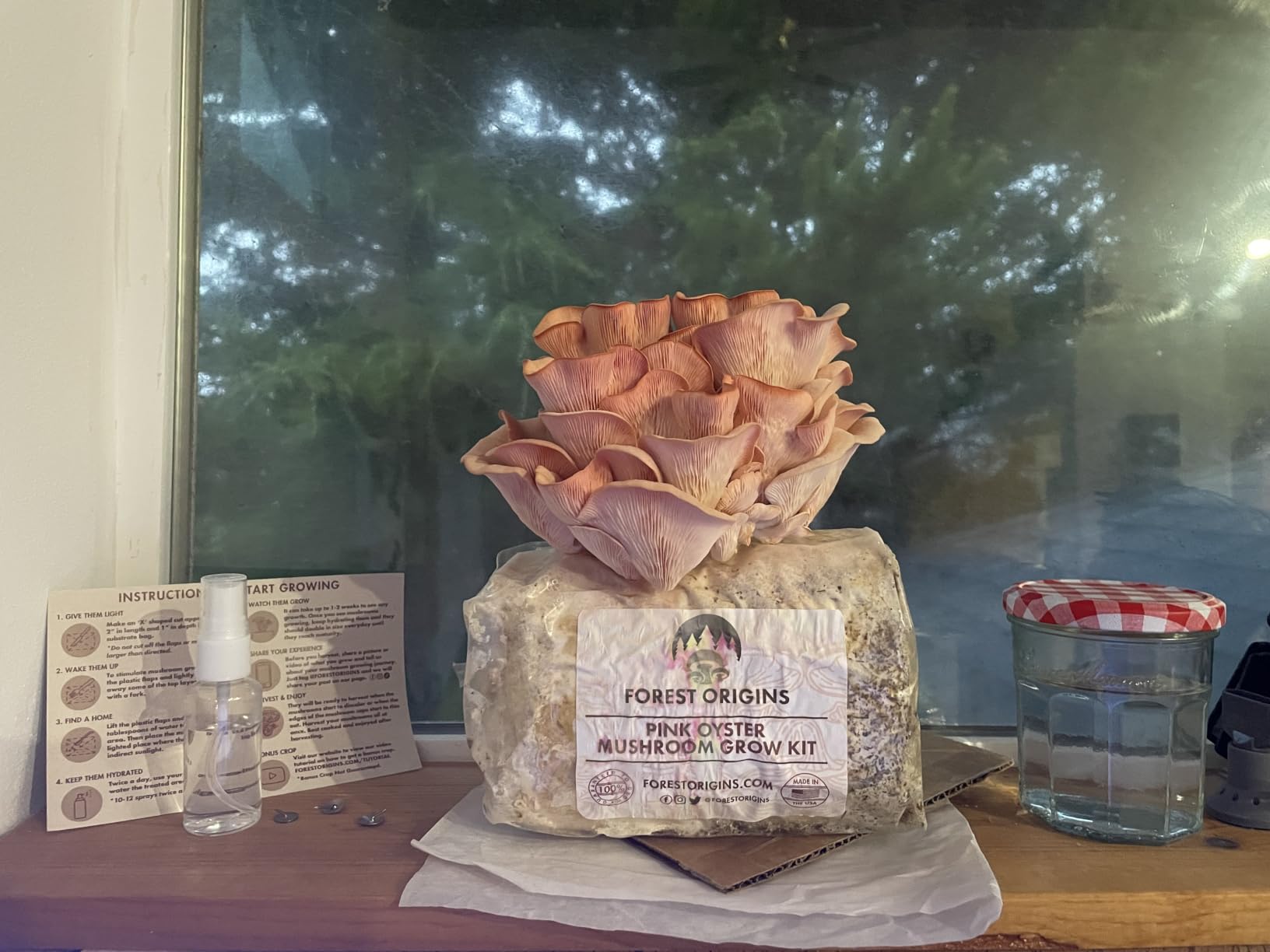 Forest Origins Pink Oyster Mushroom Grow Kit, Beginner Friendly & Easy to Use, Grows in 10 Days | Handmade in California, USA customer photo 2