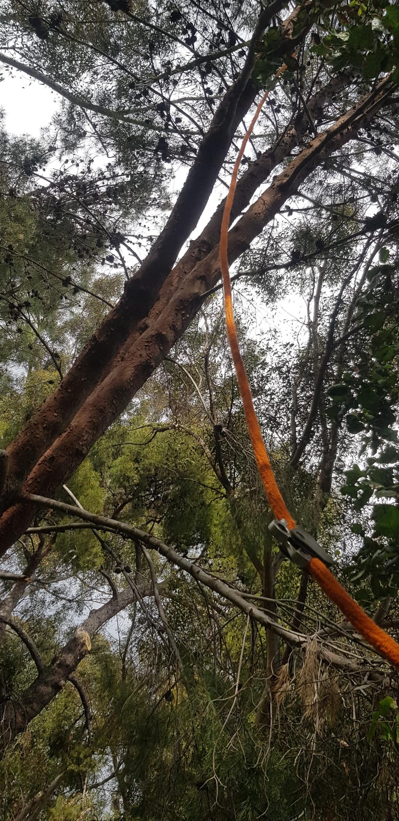 Better Grab Steel Core Flipline Kit (1/2 inch x 10 feet) - Adjustable Tree Lanyard, Low Stretch, Cut Resistant for Fall Protection, Arborist, Tree Climbers customer photo 1