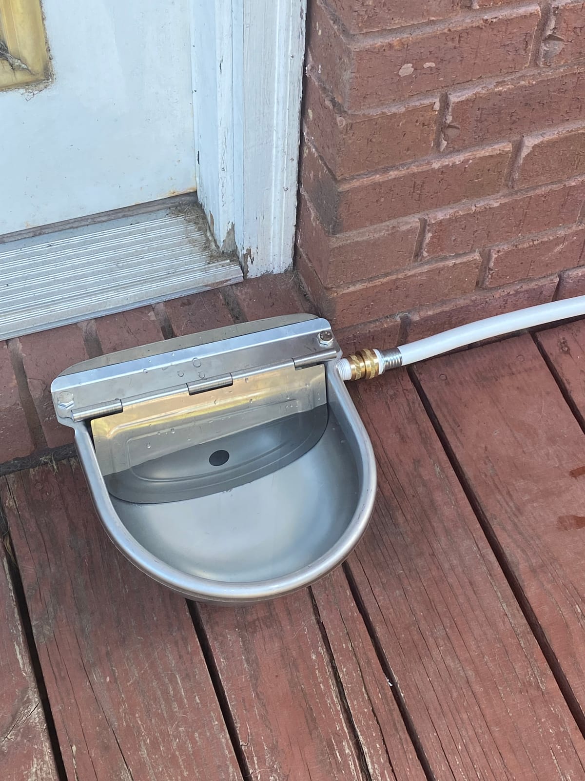 Automatic Dog Water Feeder 3L Stainless Steel Bowl for Chicken Cattle Sheep | With Float Valve auto fill water Wall Mounted Livestock Waterer rust proof Keep Water Fresh Easy to Clean & install for Goat customer photo 1