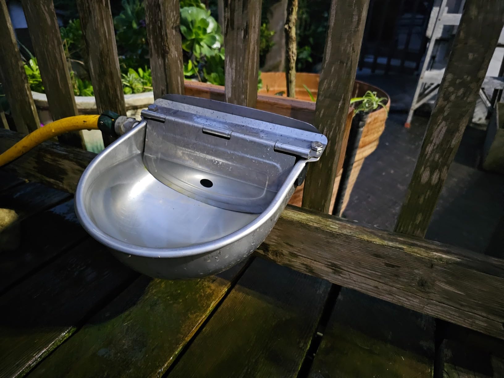 Automatic Dog Water Feeder 3L Stainless Steel Bowl for Chicken Cattle Sheep | With Float Valve auto fill water Wall Mounted Livestock Waterer rust proof Keep Water Fresh Easy to Clean & install for Goat customer photo 2