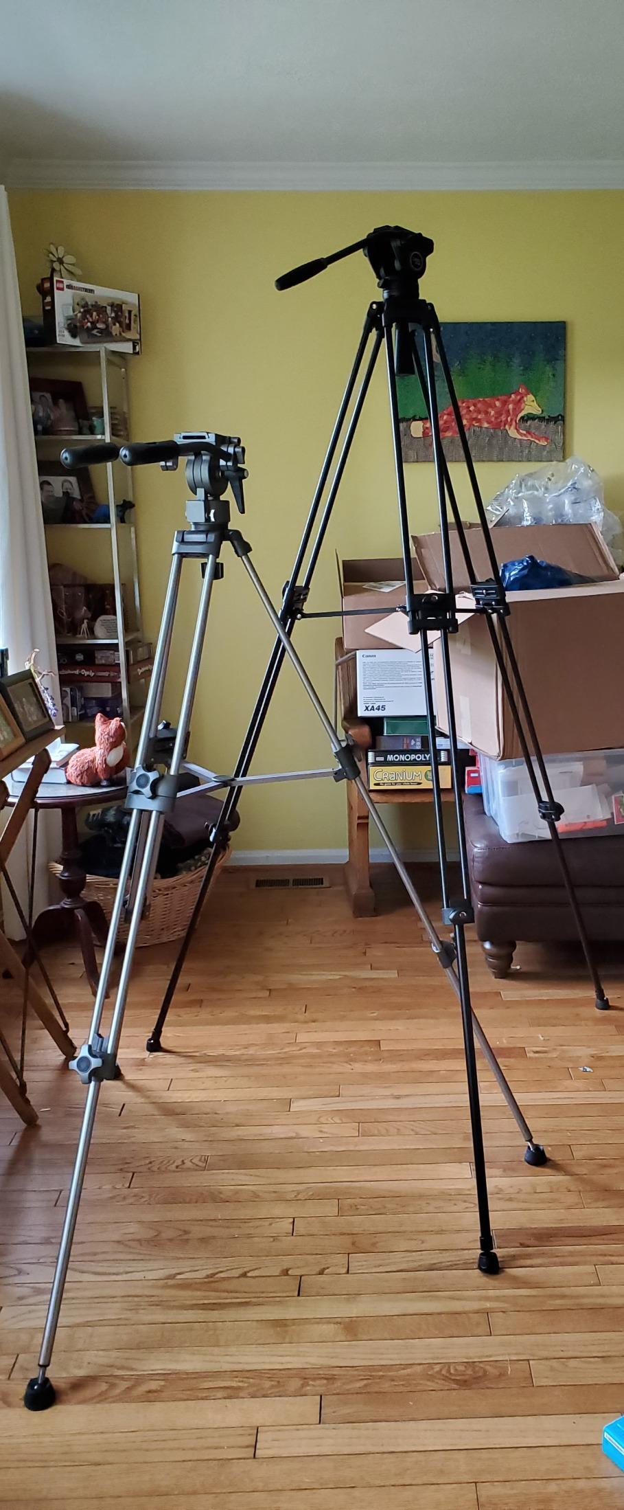 Cayer BV30L Video Tripod with Fluid Head, 72