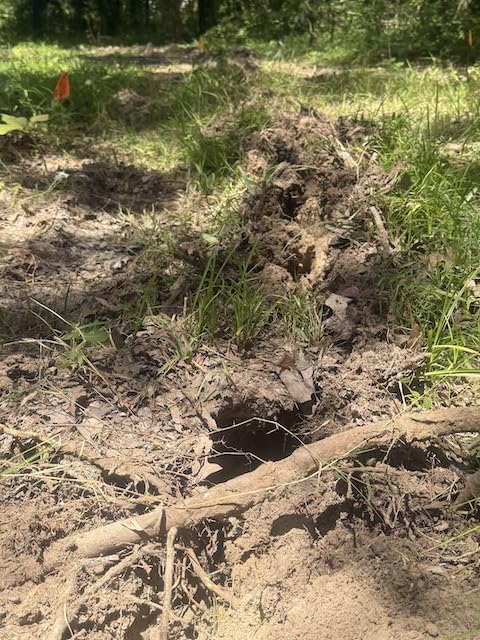 Ripper/Middle Buster Plow/Subsoiler Plow/Potato Plow - Combo Shank, Black customer photo 2