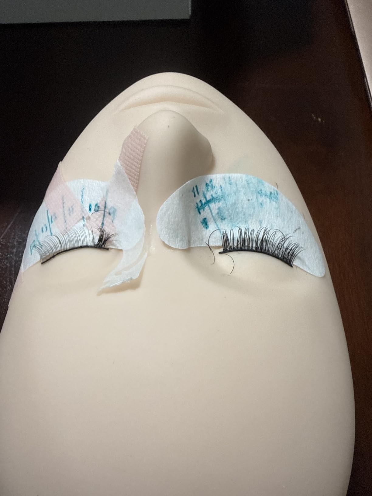 Hoka Lash Eyelash Extension Kit & Training Course and Certification, Professional Lash Extension Kit for Beginners Includes Practice Mannequin Head, Lash Trays, Glue, Tweezers, Fan & More customer photo 1