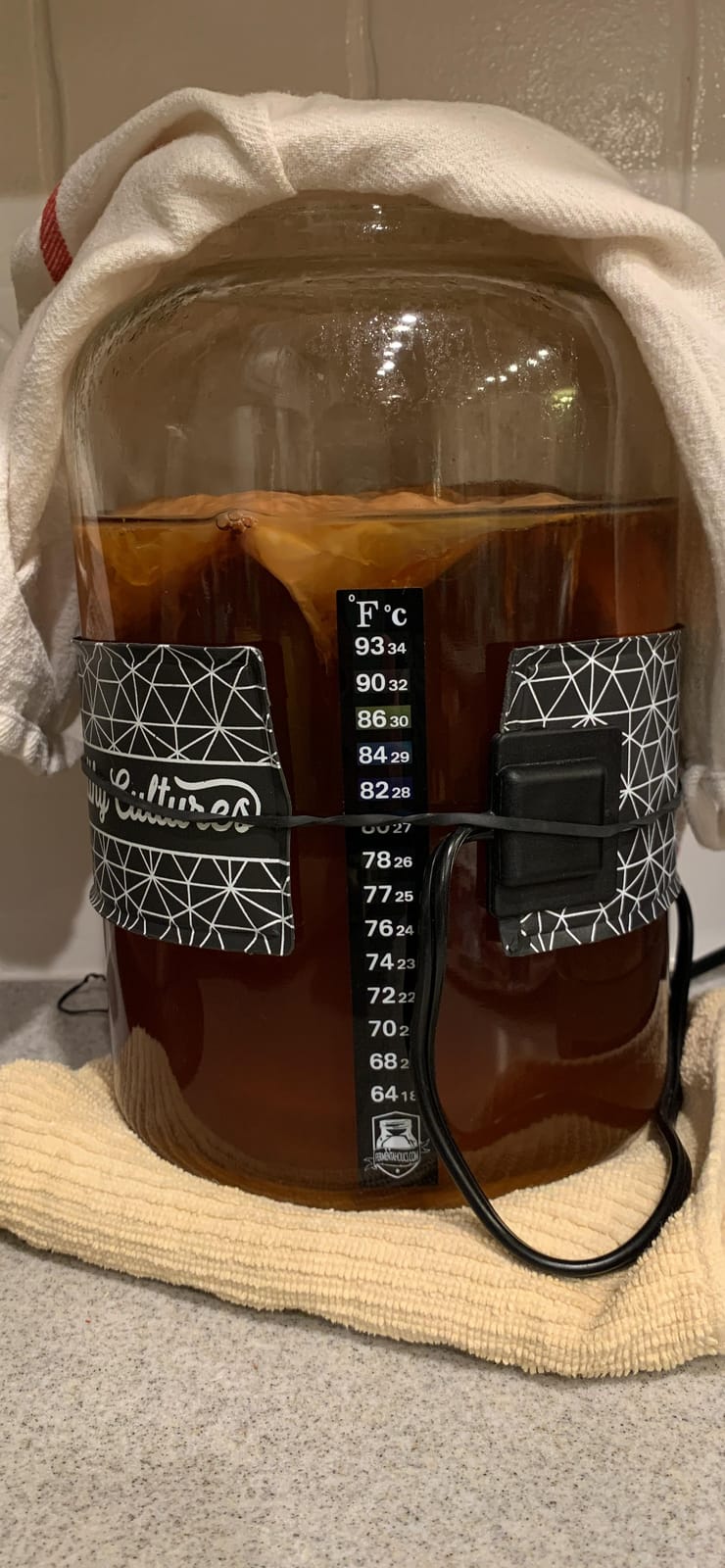 Kombucha Heater | Fermentaholics Kombucha Brewing and Fermentation Heat Mat | Keep Your SCOBY Happy and Productive By Brewing in The Proper Temperature Range customer photo 1