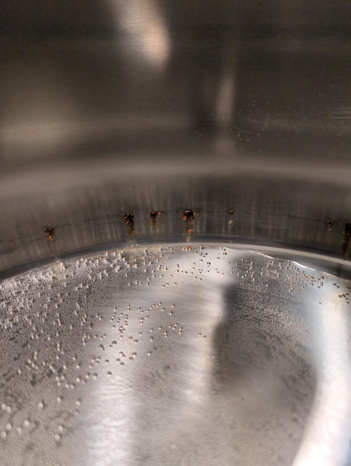 CONCORD Stainless Steel Home Brew Kettle Stock Pot (Weldless Fittings) (20 QT/ 5 Gal) customer photo 2