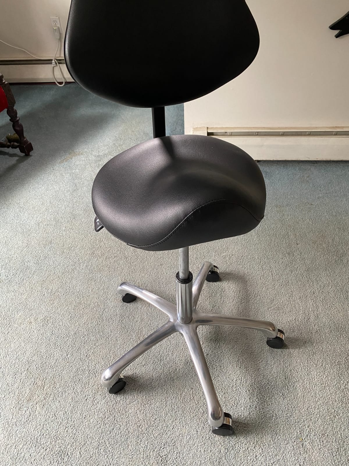 Hydraulic Saddle Rolling Adjustable, Heavy-Duty (350 lbs) Stool Chair for Beauty Salon Massage Dental Clinic Home Office Use customer photo 1