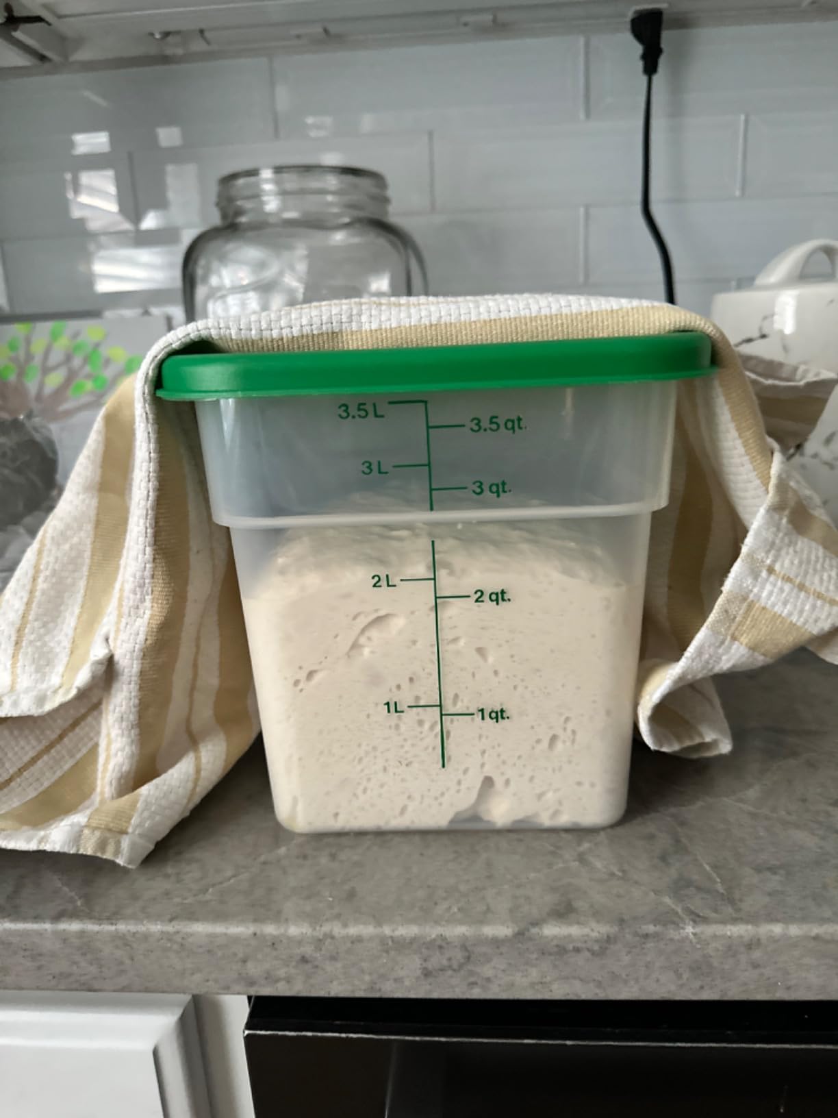 Cambro Food Storage Container with Lid (Microwave Safe and BPA-Free) - 2 Pack - Classic Series Square with Green Lid - 4 QT (Quart) - Commercial Grade for Food Prep customer photo 2