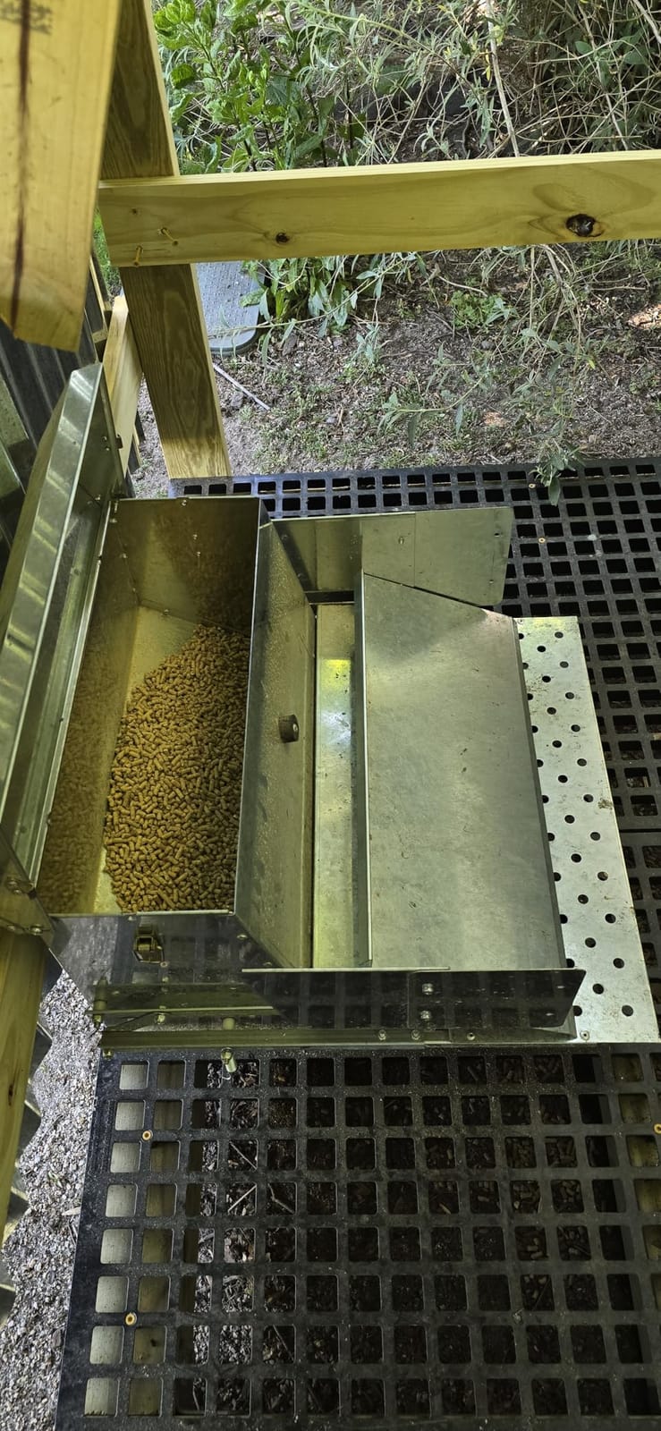RentACoop 40 lb Automatic Treadle Chicken Feeder, Metal Rat Resistant Poultry Feeder, Rainproof No Waste Step-On Feeder for Chickens, Bantams, Ducks, Pheasants, Outdoor Covered Feed Bin customer photo 1