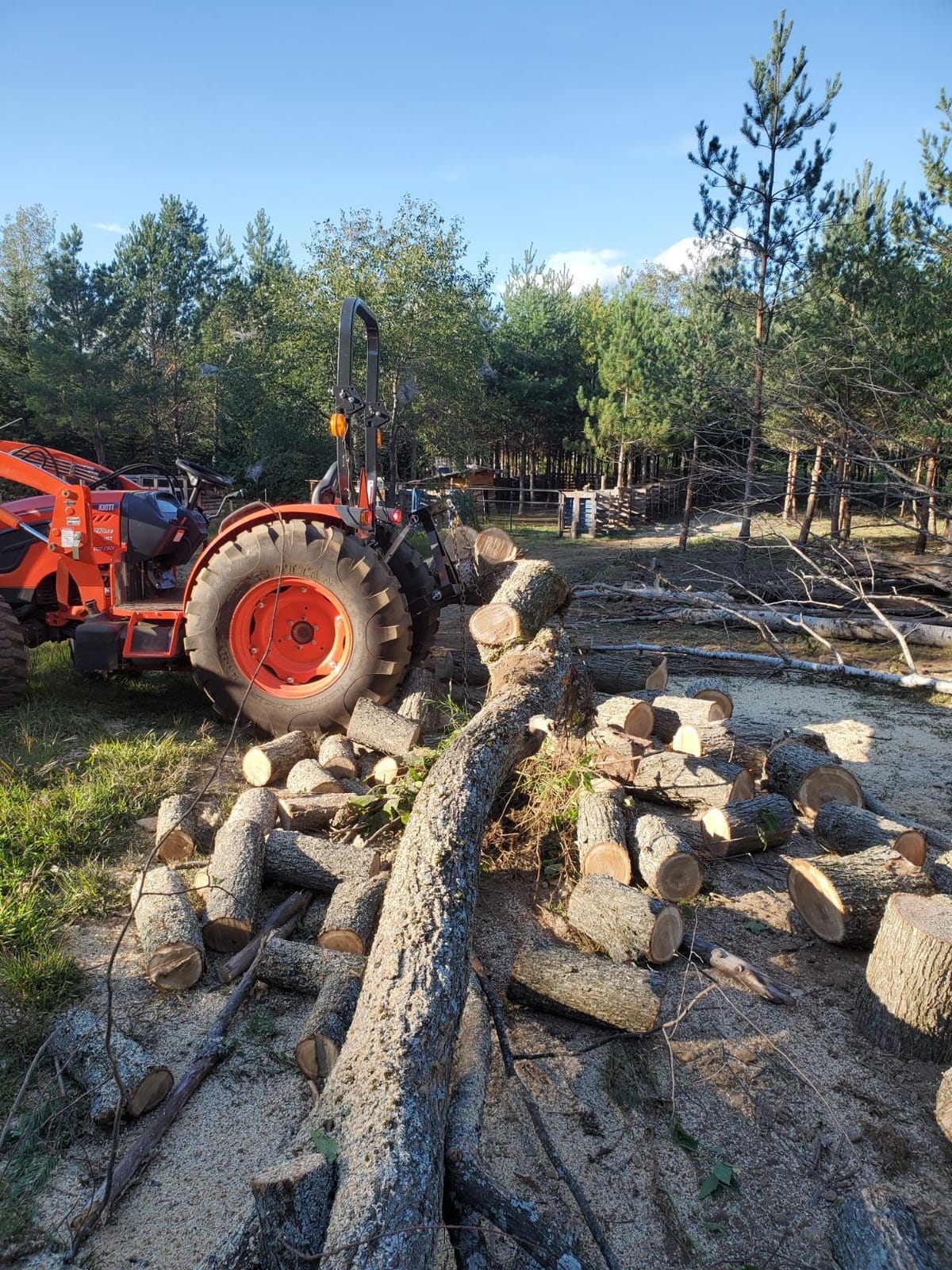 MAXXTUFF Heavy-Duty 3-Point Log Skidder Deluxe with Chain and Bonus 2