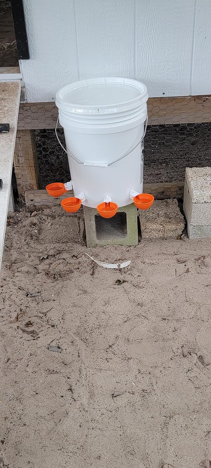 Lil'Clcker Large Automatic Chicken Waterer Cups | Chicken Water Feeder Suitable for Chicks, Duck, Goose, Turkey and Bunny | Poultry Water Feeder Kit (Orange, 5-Pack) customer photo 1