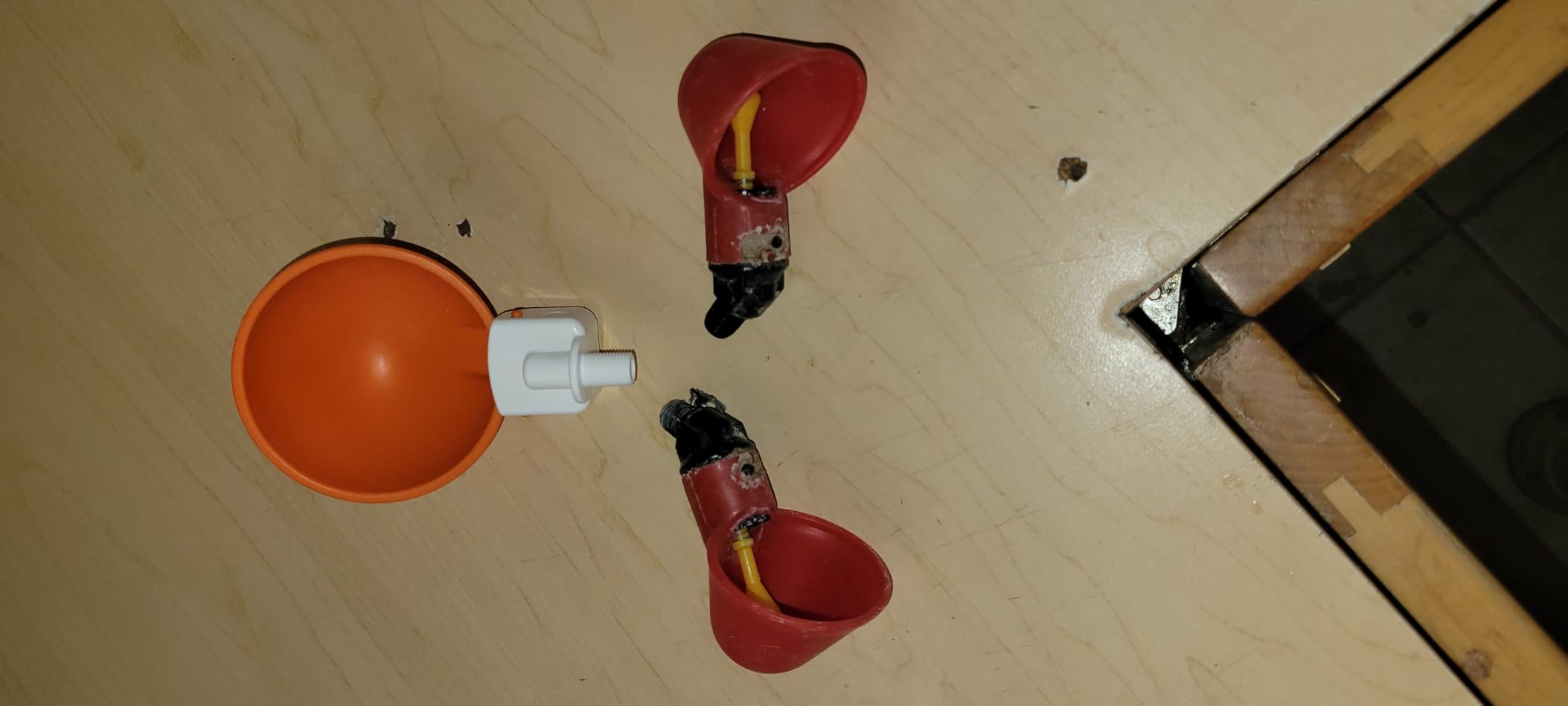 Lil'Clcker Large Automatic Chicken Waterer Cups | Chicken Water Feeder Suitable for Chicks, Duck, Goose, Turkey and Bunny | Poultry Water Feeder Kit (Orange, 5-Pack) customer photo 2