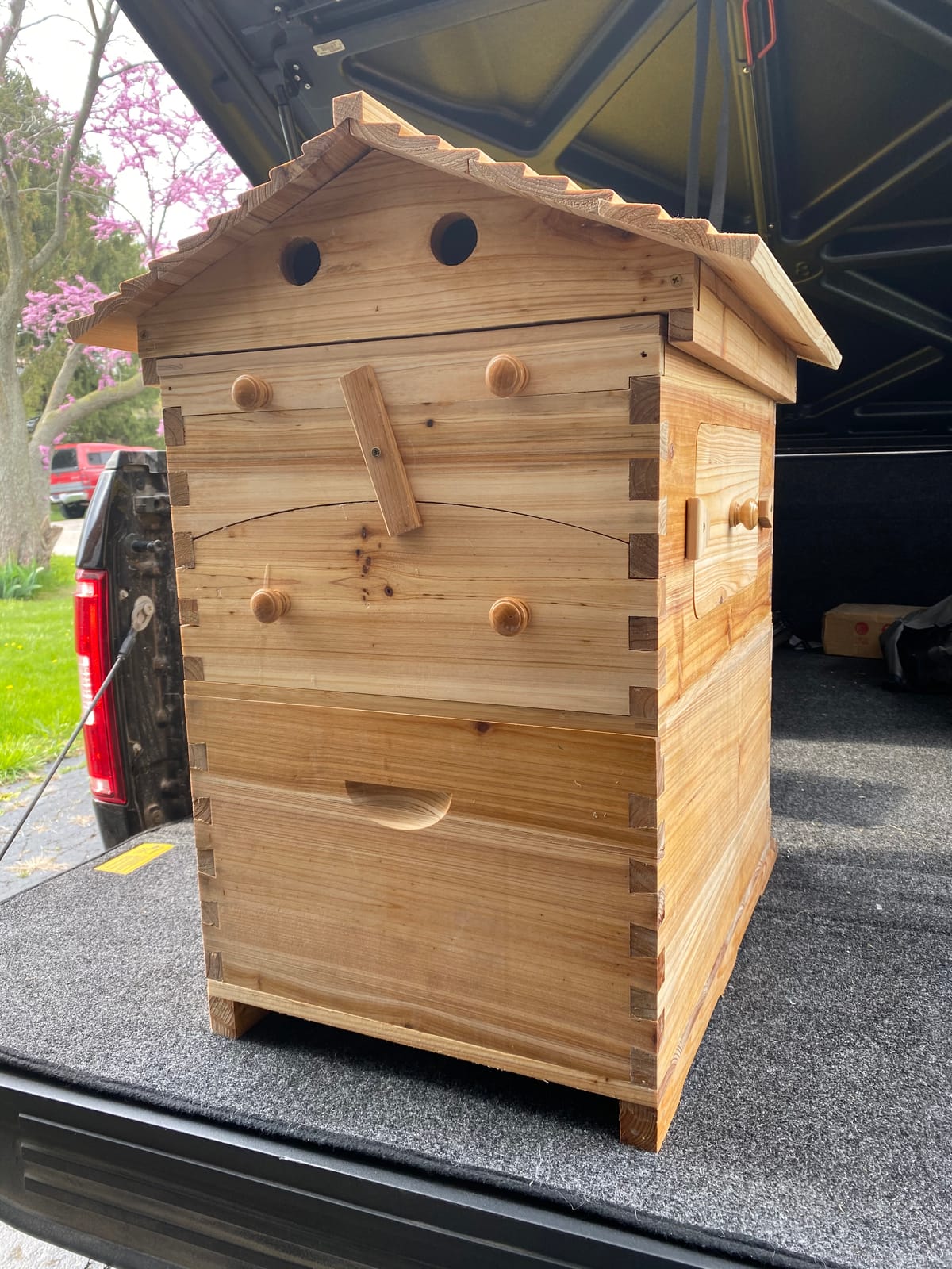 LANGLANG Automatic Wooden bee hive House kit with 7 PCS Upgraded Auto Frame Comb-Beehive Box Honey Free harvesting customer photo 2