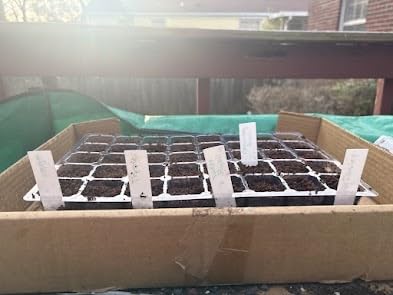 MIXC 5 Pack Seed Starter Tray, 200Cell Mini Propagator Greenhouse Grow Kit | Reusable Plant Germination Tray with Drainage Hole/Humidity Vent Dome customer photo 2