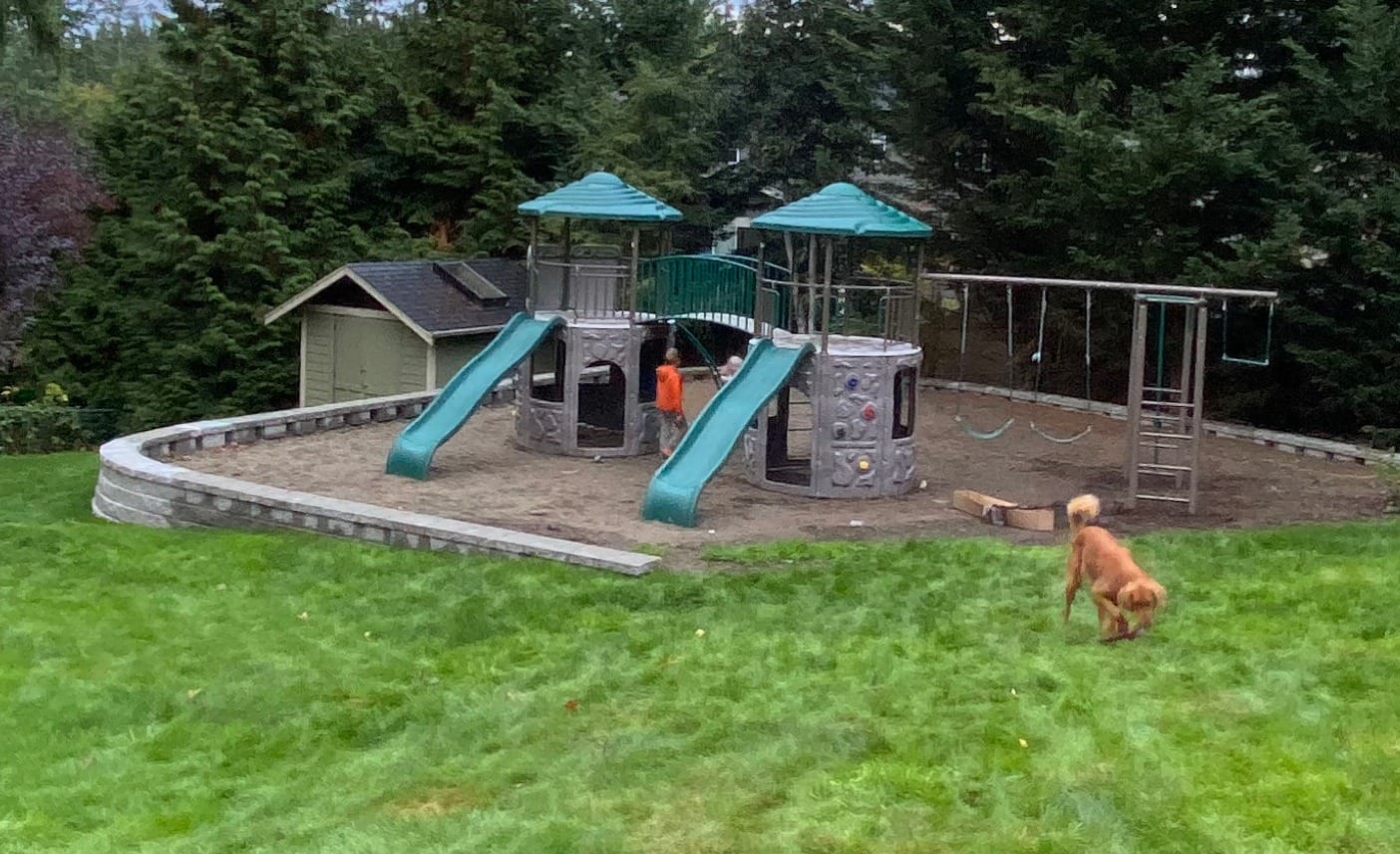 Lifetime 90966 Double Adventure Tower with Monkey Bars customer photo 1