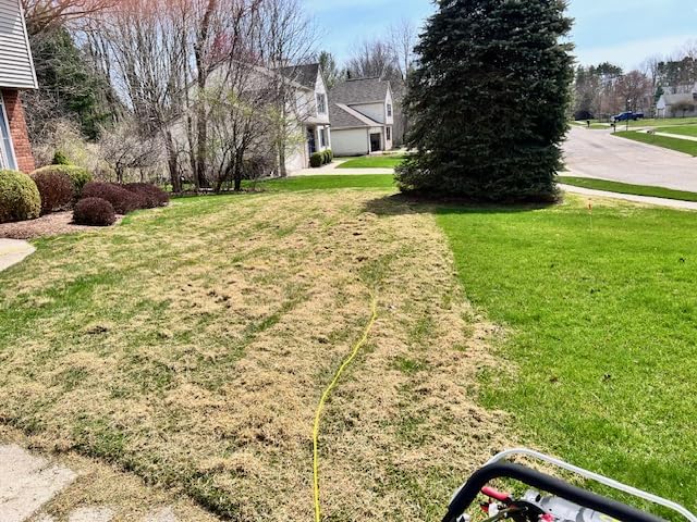 Sun Joe 15-Inch Lawn Dethatcher with Scarifier Blade Reel, AJ805E - 13-Amp Corded Yard Power Rake Tool Machine for Grass Thatch Removal customer photo 1