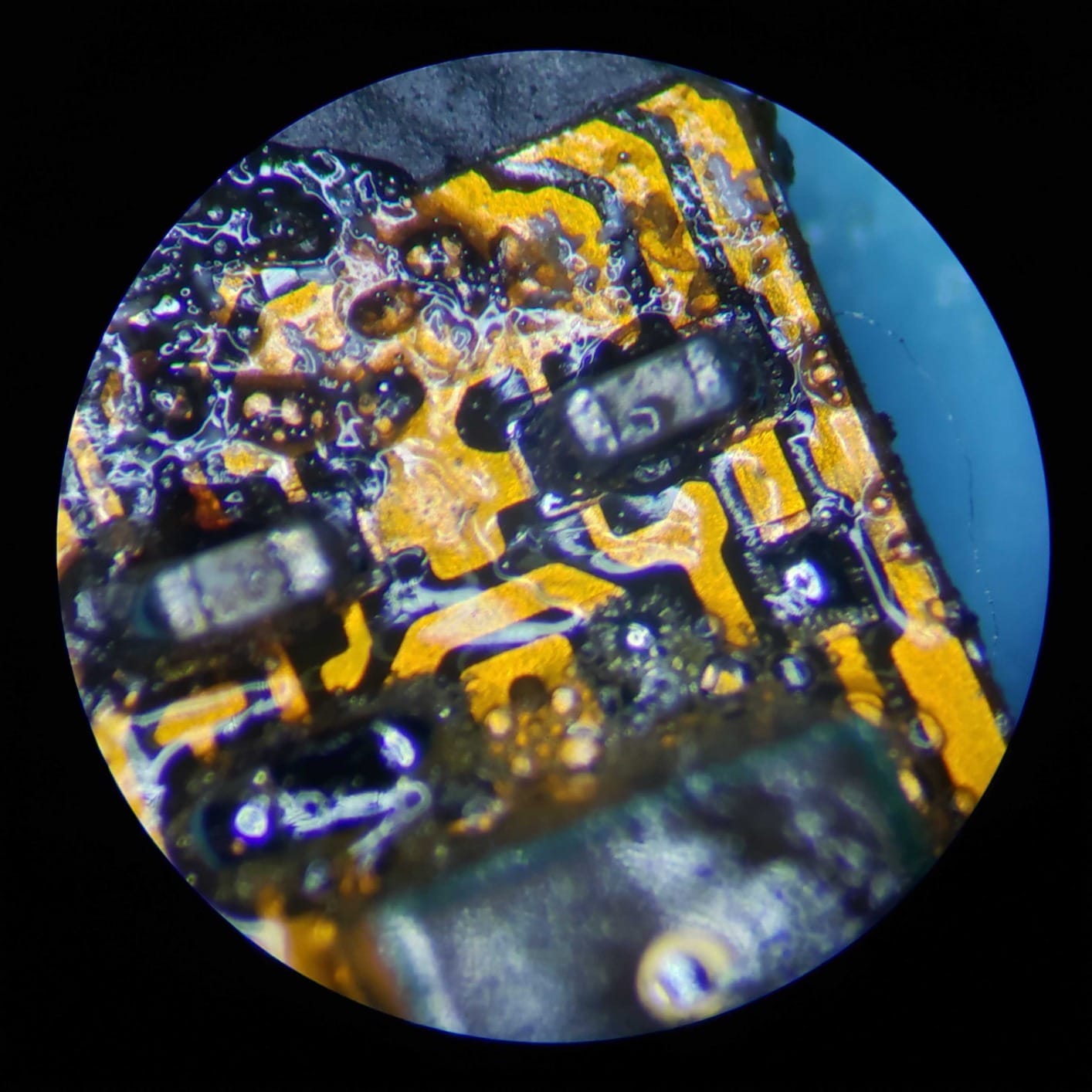 PA-1FX-IFR09W Trinocular Zoom Stereo Microscope | 10x Widefield Eyepiece | 0.7X-4.5X Zoom Range, 3.5X-45x Magnification Range, 0.5X Barlow Lens | Pillar Stand | 144-LED Ring Light customer photo 1