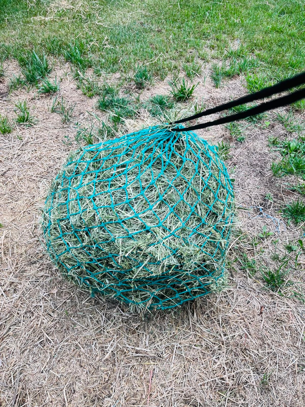 Majestic Ally 2 pcs Slow Feed 42