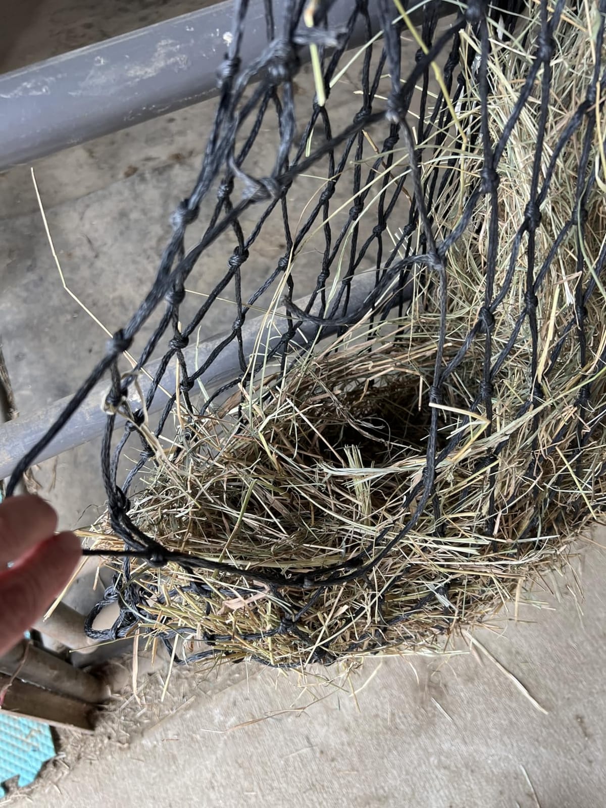 Harrison Howard Slow Feed Hay Net for Horses, 40 Inch Hay Bag Holds 1-2 Flakes, 2 Inch Mesh Durable Hanging Feeder for Stable, Pasture & Livestock customer photo 2