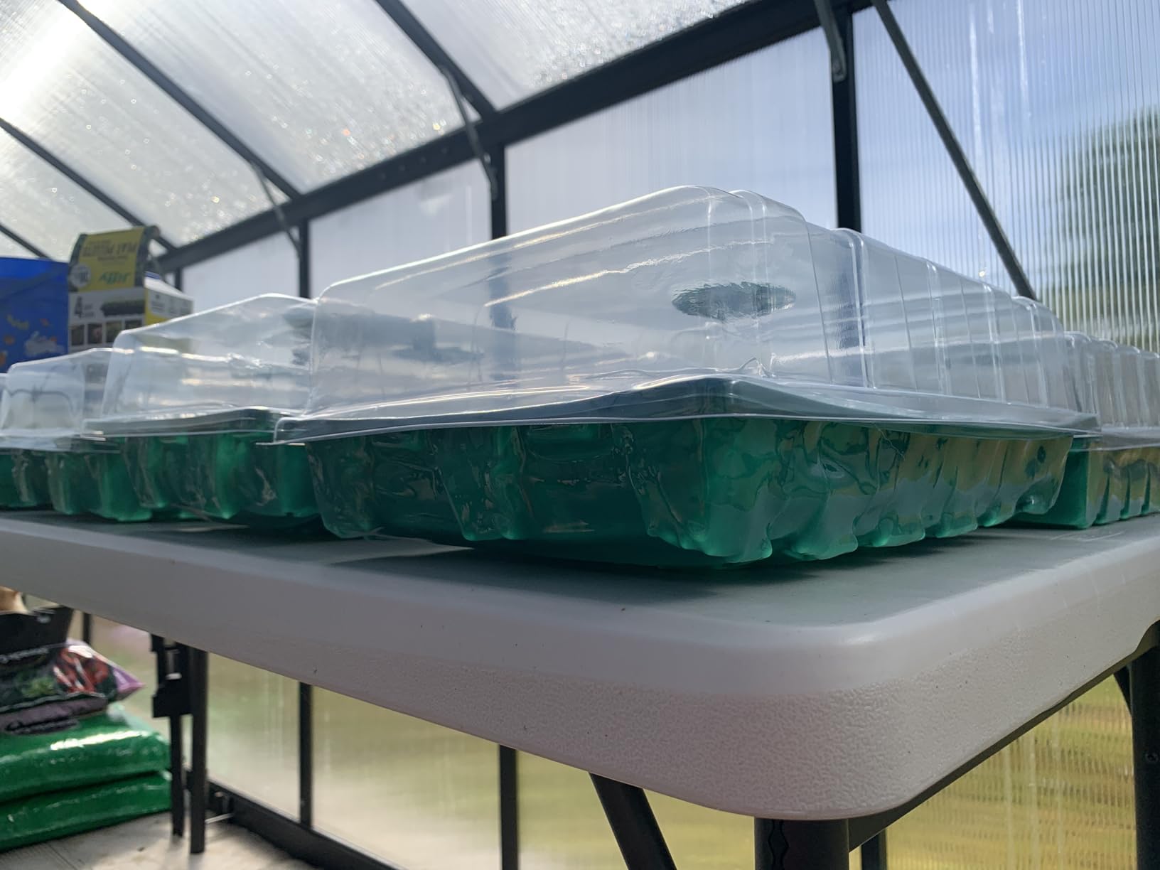 Elcoho 6 Pack Seed Starter Tray Kit 40 Cells Seedling Trays with Humidity Dome and Base Mini Propagator customer photo 2