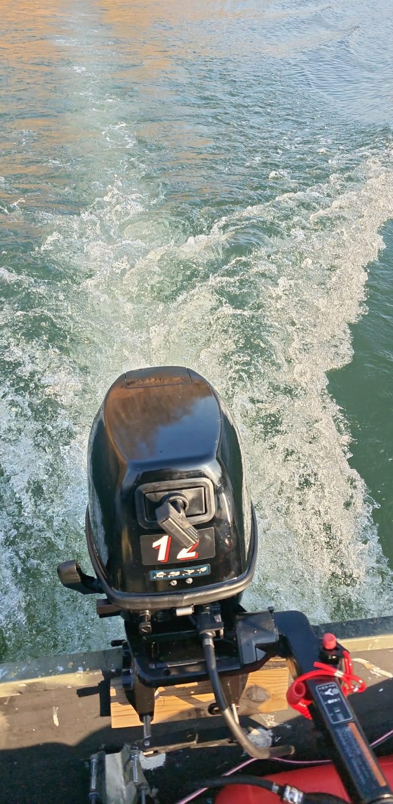 Short Shaft Outboard Motor, 2 Stroke 12 HP Outboard Boat Motor, 169CC Heavy Duty Fishing Boat Engine Marine Engine Tiller Control Motor with Water Cooling & CDI Ignition System customer photo 1