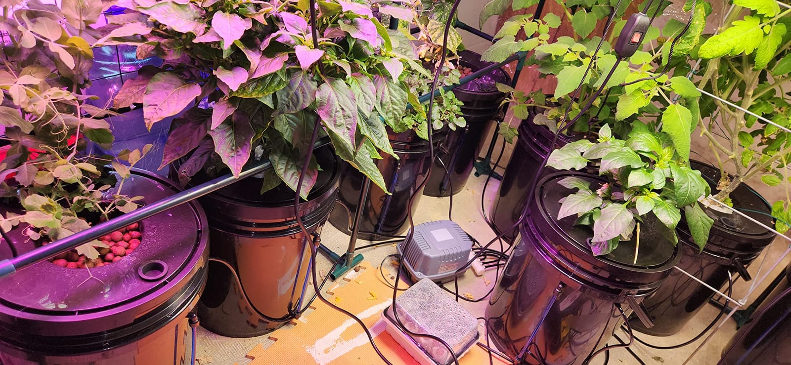 VEVOR DWC Hydroponic System, 5 Gallon 8 Buckets, Deep Water Culture Growing Bucket, Hydroponics Grow Kit with Pump, Air Stone and Water Level Device, for Indoor/Outdoor Leafy Vegetables customer photo 1