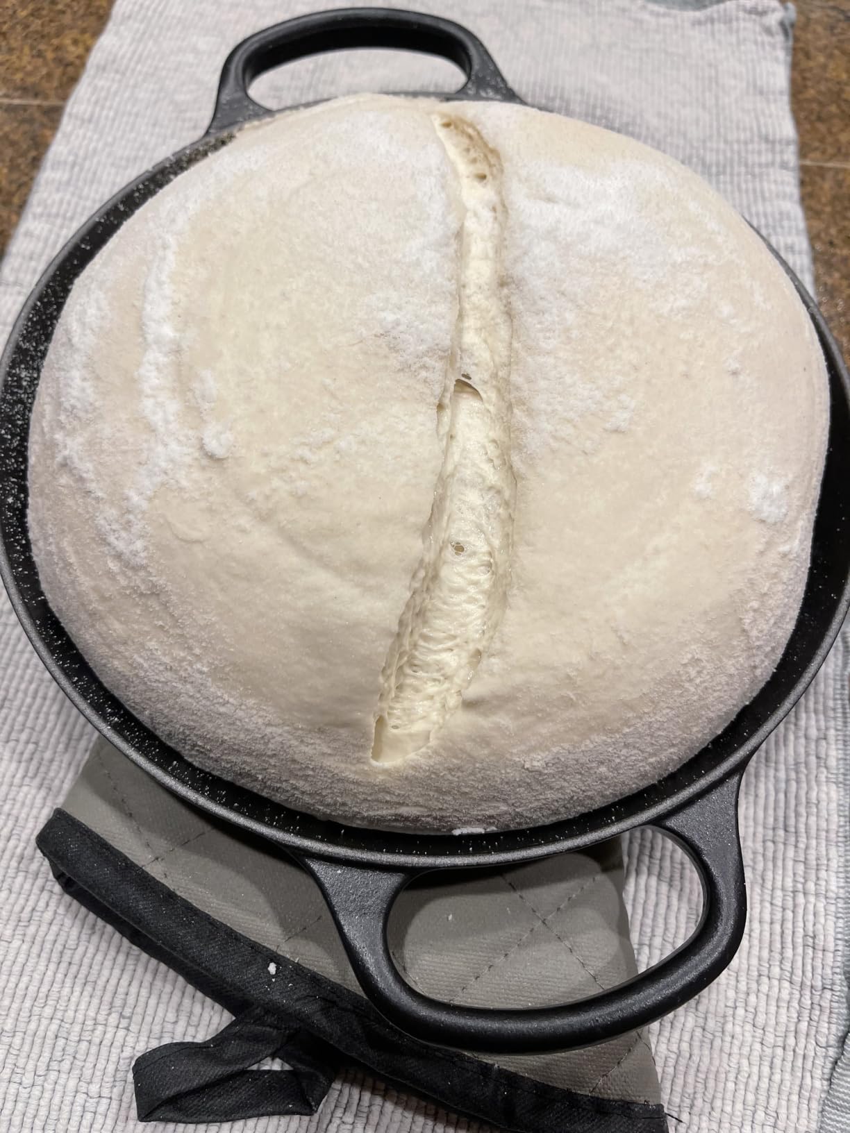 Le Creuset Enameled Cast Iron Signature Round Bread Oven, 9.5 inch, Cerise customer photo 1