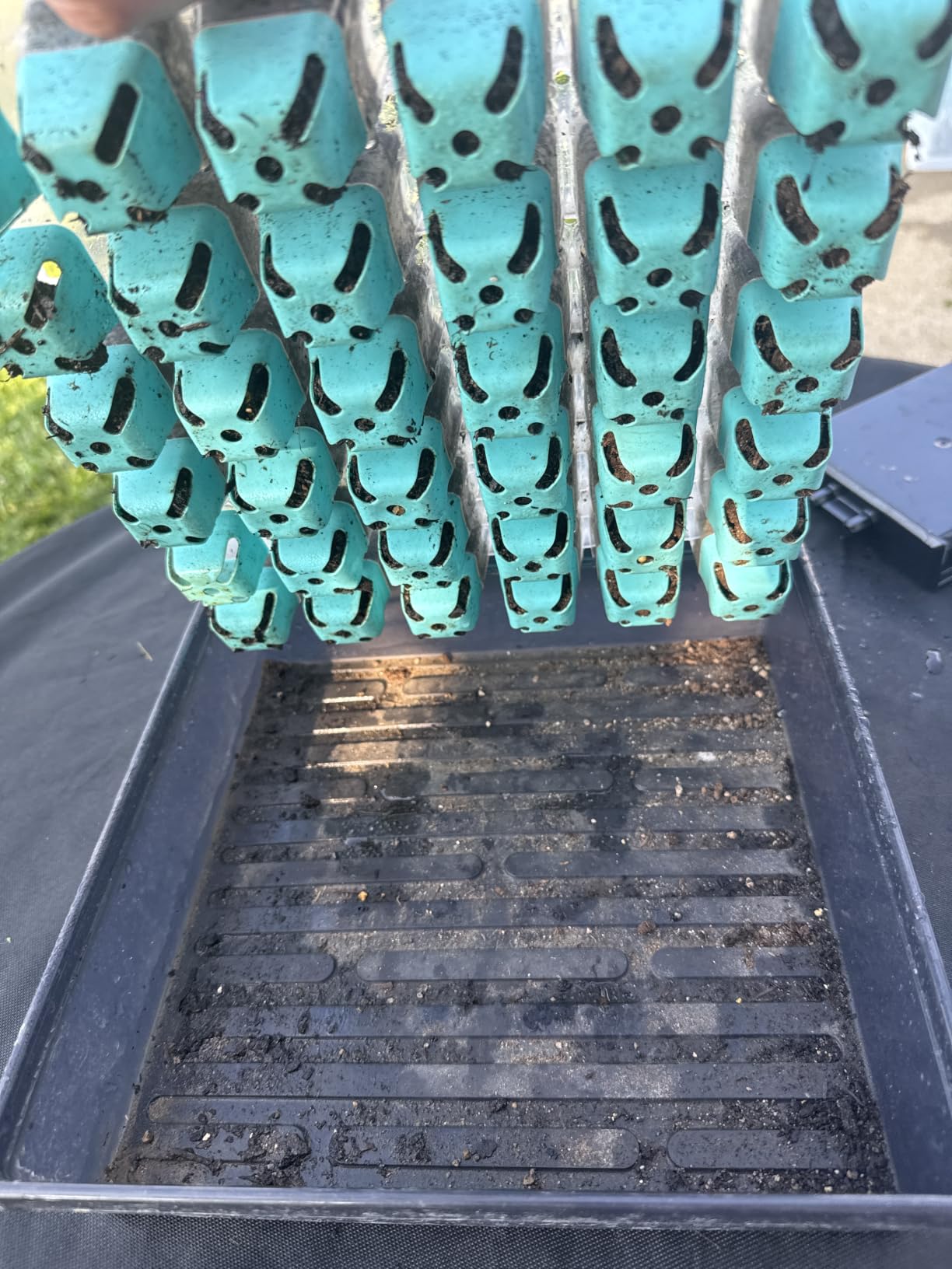 Burpee SuperSeed Seed Starting Tray | 36 Cell Reusable Seed Starter Tray | for Starting Vegetable, Flower & Herb Seeds customer photo 1