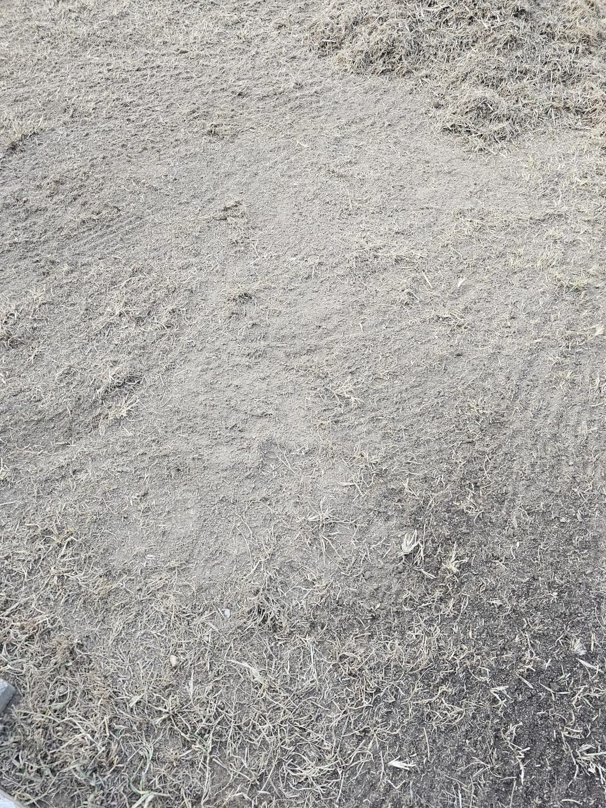 WEN DT1516 16-Inch 15-Amp 2-in-1 Electric Dethatcher and Scarifier with Collection Bag customer photo 1