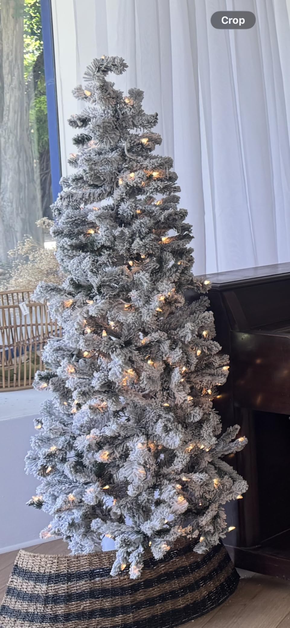 National Tree Company 6 ft Pre-Lit Flocked Acacia Slim Artificial Christmas Tree, 250 Clear Lights, 512 Tips, Includes Stand, Green customer photo 1