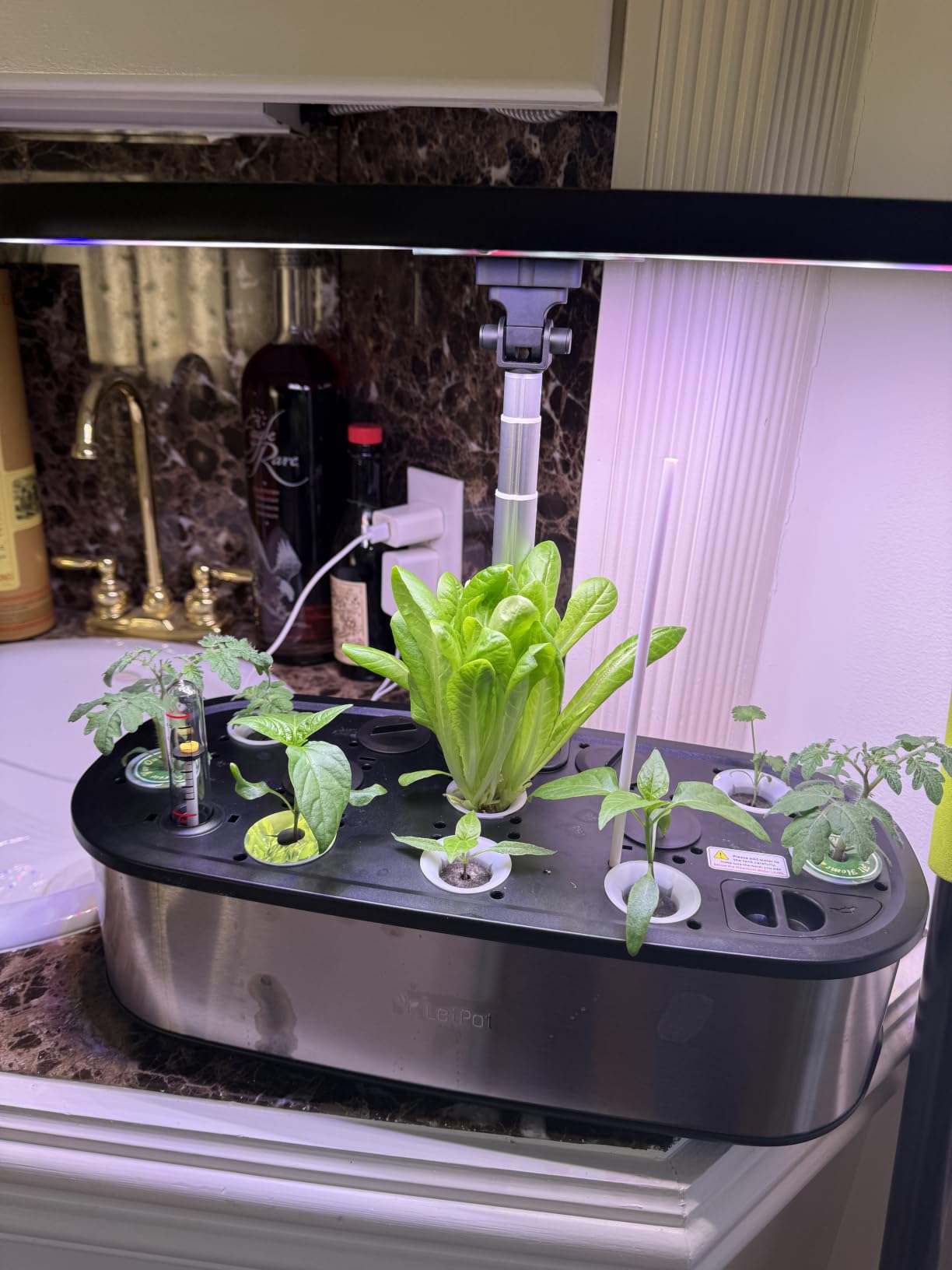LETPOT LPH-SE Hydroponics Growing System, 12 Pods Smart Herb Garden Kit Indoor, Indoor Garden, APP & WiFi Controlled, with 24W Growing LED, 5.5L Water Tank, Pump System, Automatic Timer customer photo 1