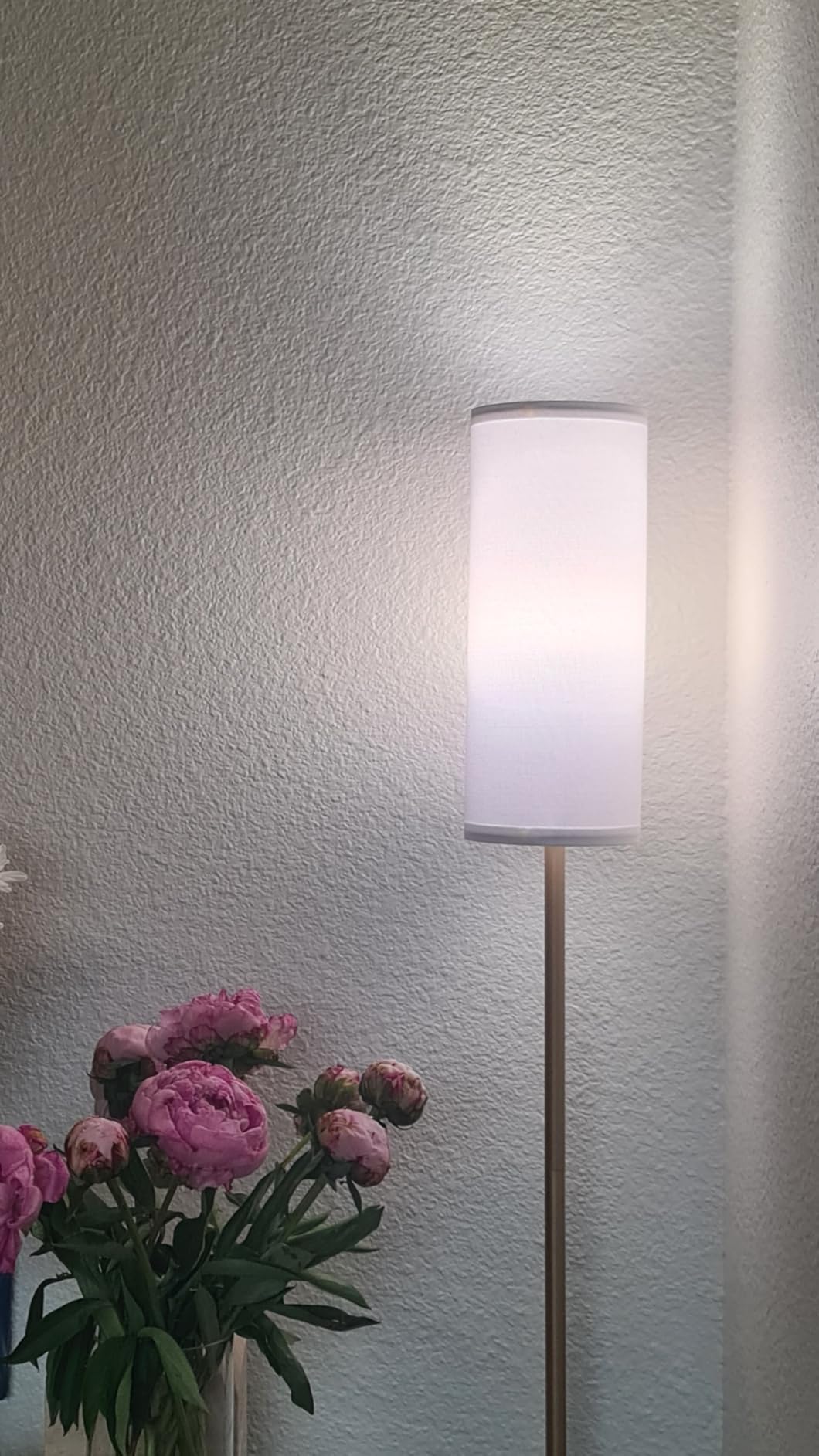Ambimall Floor Lamps for Living Room, 64