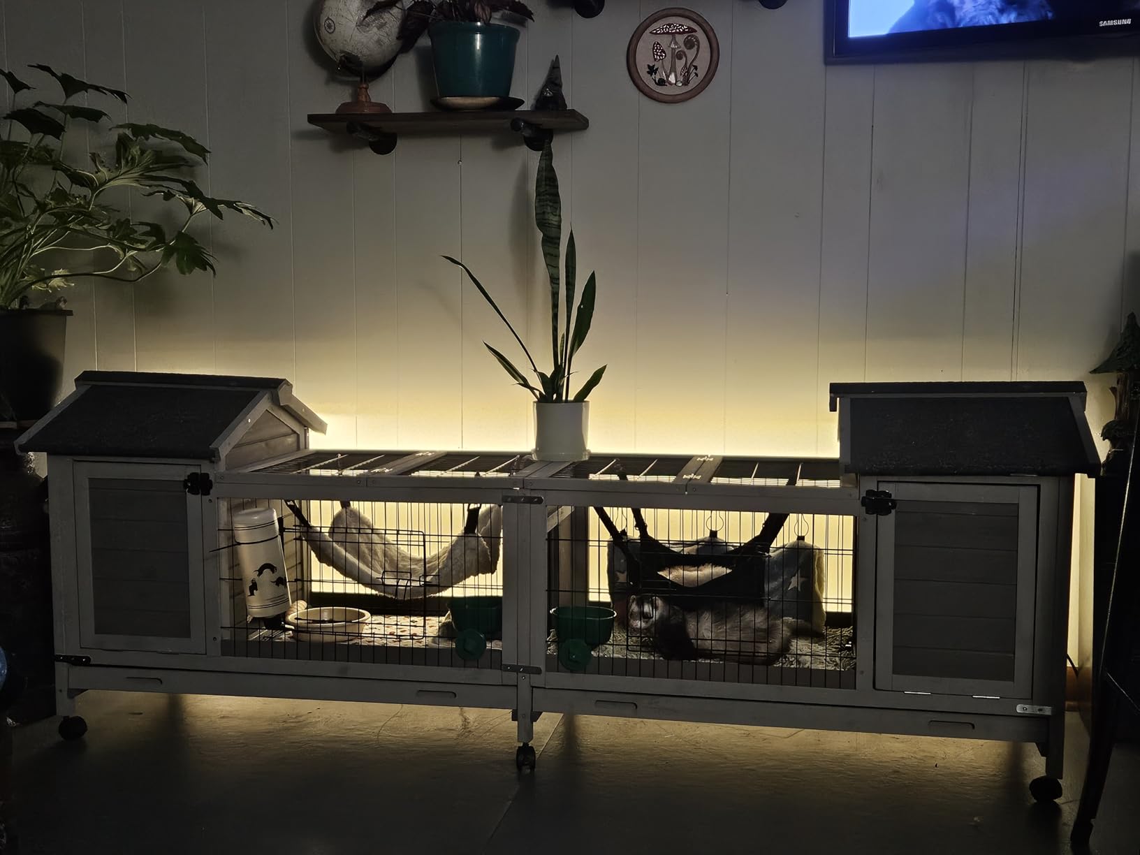 Aivituvin Rabbit Hutch Bunny Cage with Double House and Run Indoor Outdoor Guinea Pig House with Deeper No Leak Trays and Wheels customer photo 2