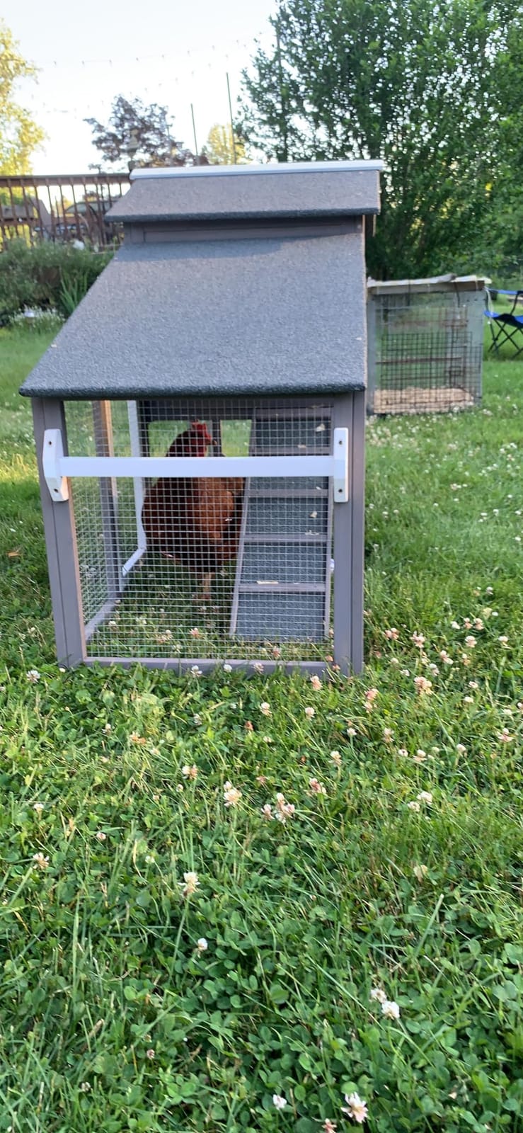Chicken Coop Large Wooden Chicken Tractor - with Wheels Waterproof Outdoor Hen House Poultry Cage Back Yard Chicken Coops with Run, Laying Boxes, and Removable Tray, for Chickens, Ducks, Rabbits customer photo 2