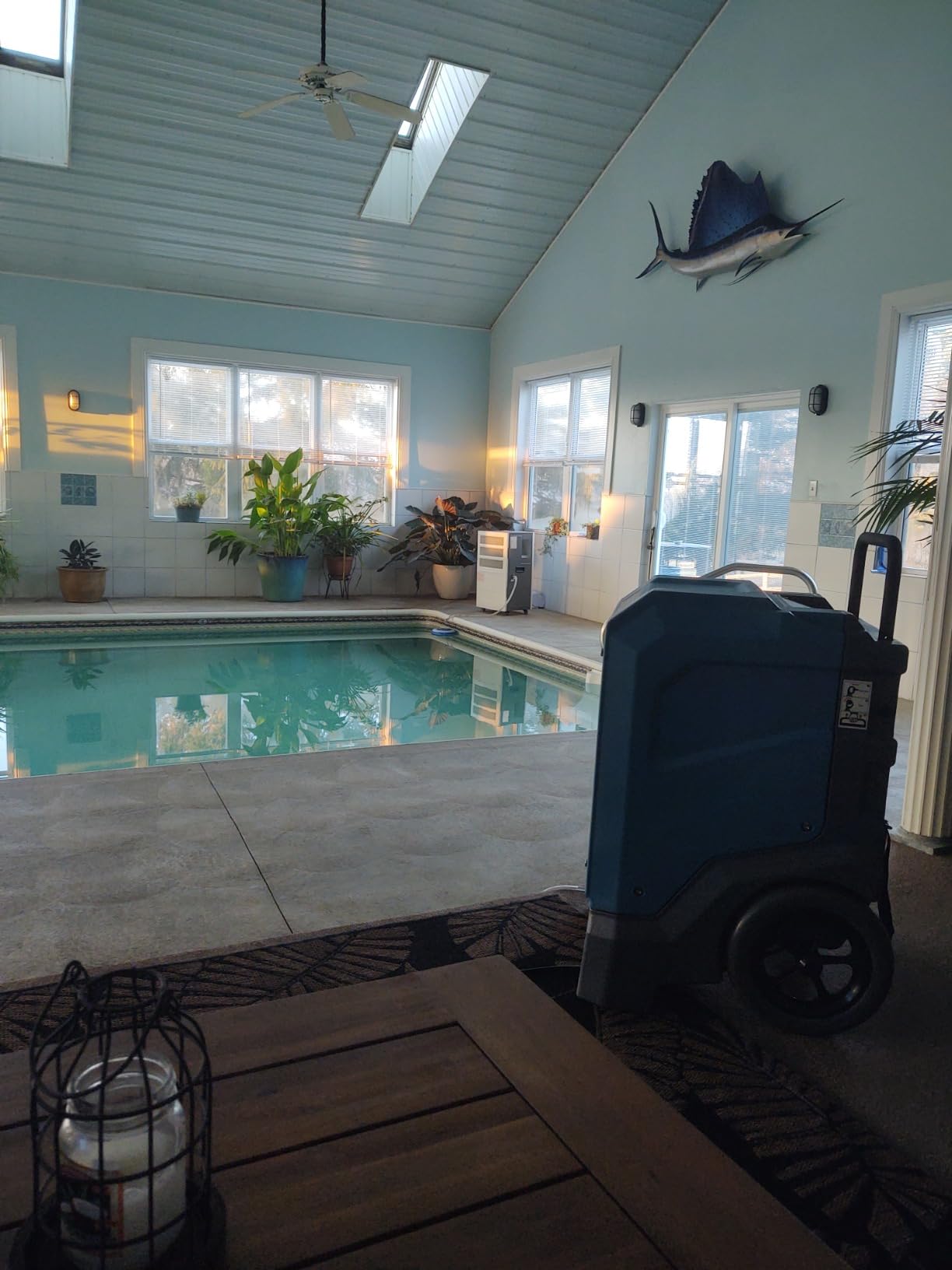 MOUNTO 310 Pints LGR Commercial Dehumidifier with Built-In Pump and Drain Hose - Portable, Heavy-Duty Dehumidifier with Wheels for Basements, Garages, Home, and Job Sites (Blue) customer photo 1