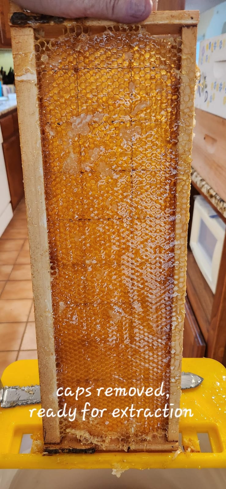 VEVOR 3 Frame Honey Extractor, Stainless Steel Manual Beekeeping Extraction, Honeycomb Drum Spinner with Transparent Lid, Apiary Centrifuge Equipment with Height Adjustable Stand customer photo 1