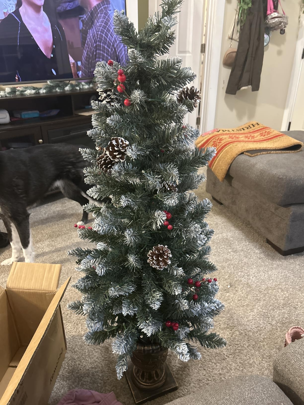 Decoway Pre-Lit Christmas Tree for Entryways: 4ft with 70 Warm White LEDs | Flocked Artificial Tree with 140 Tips 12 Pine Cones 12 Berries - Apartments Offices - Gold Pot Base and Flame-Resistant PVC customer photo 2