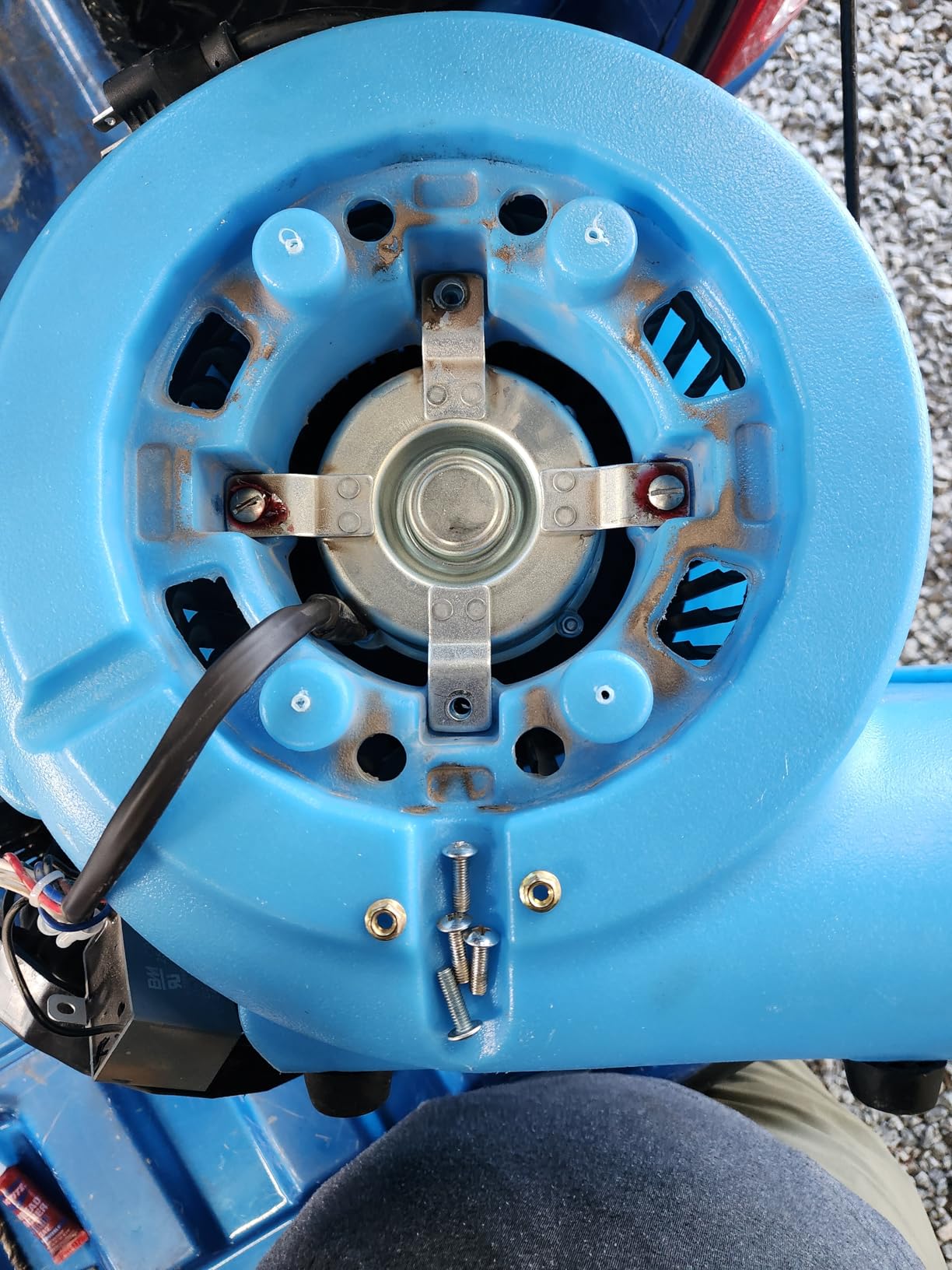 blessny 1/2 HP ETL Listed Carpet Dryer Air Blower Fan for Home Drying | 2600 CFM, 15 Ft Long Cord with 3-Speeds, Portable, Blue customer photo 2