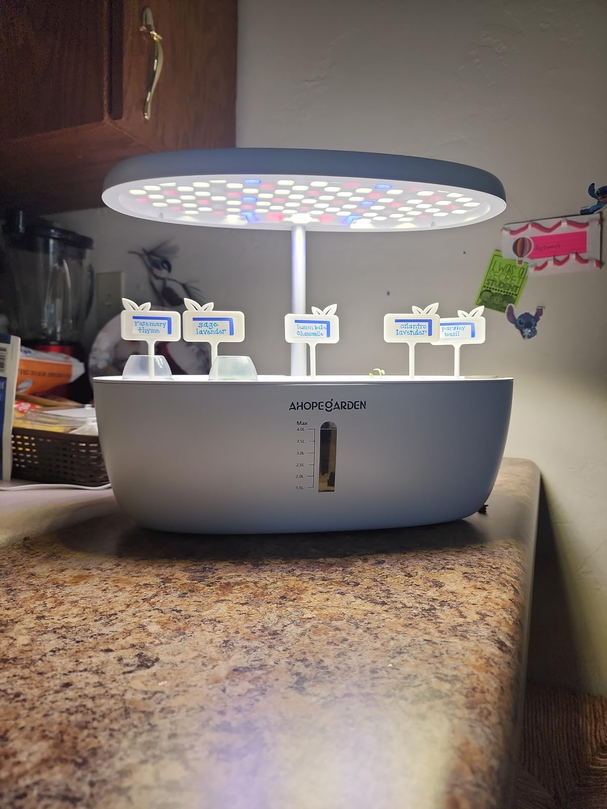 Ahopegarden Indoor Garden Hydroponics Growing System: 12 Pods Plant Germination Kit with LED Grow Light customer photo 1