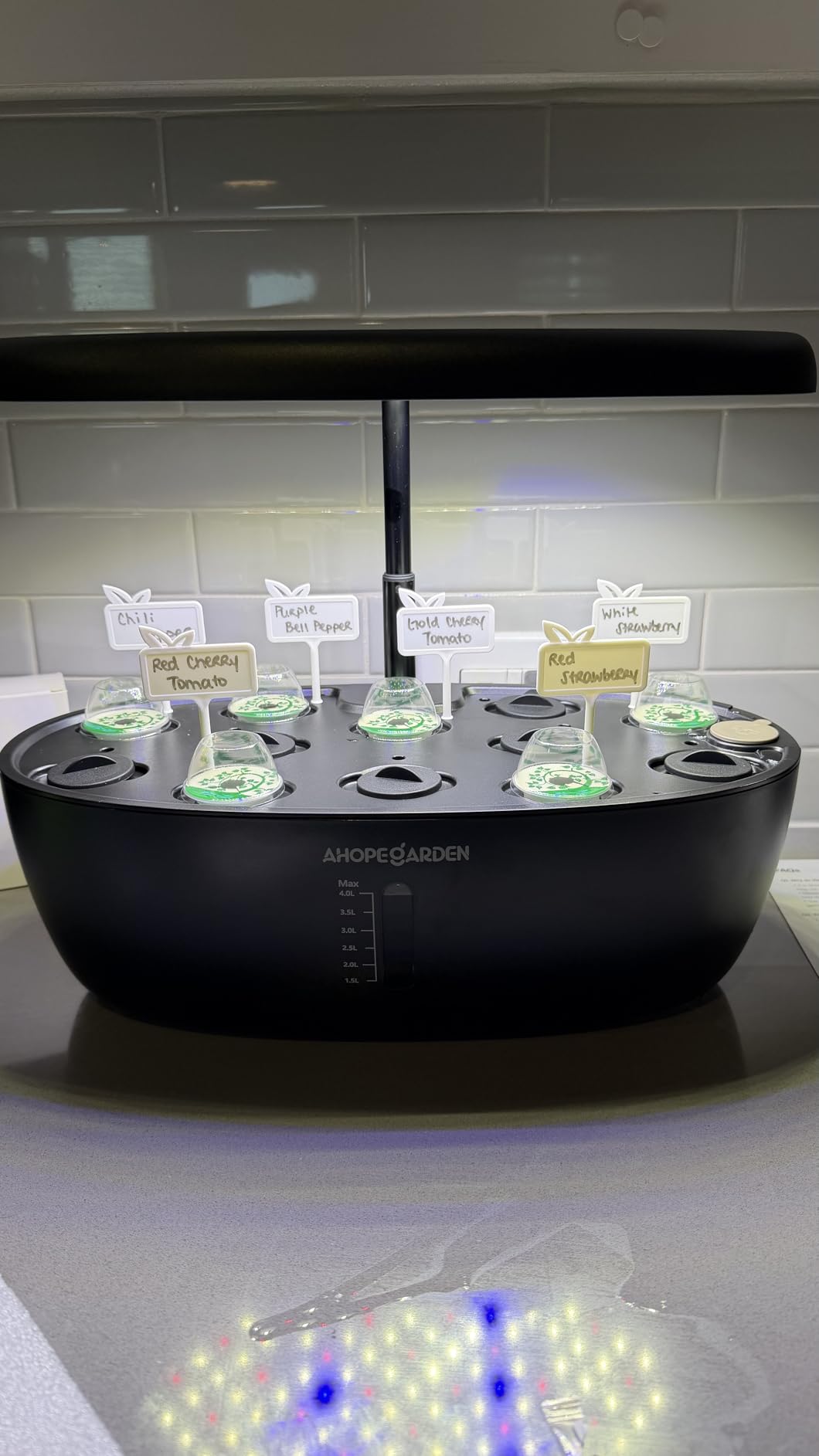 Ahopegarden Indoor Garden Hydroponics Growing System: 12 Pods Plant Germination Kit with LED Grow Light customer photo 2