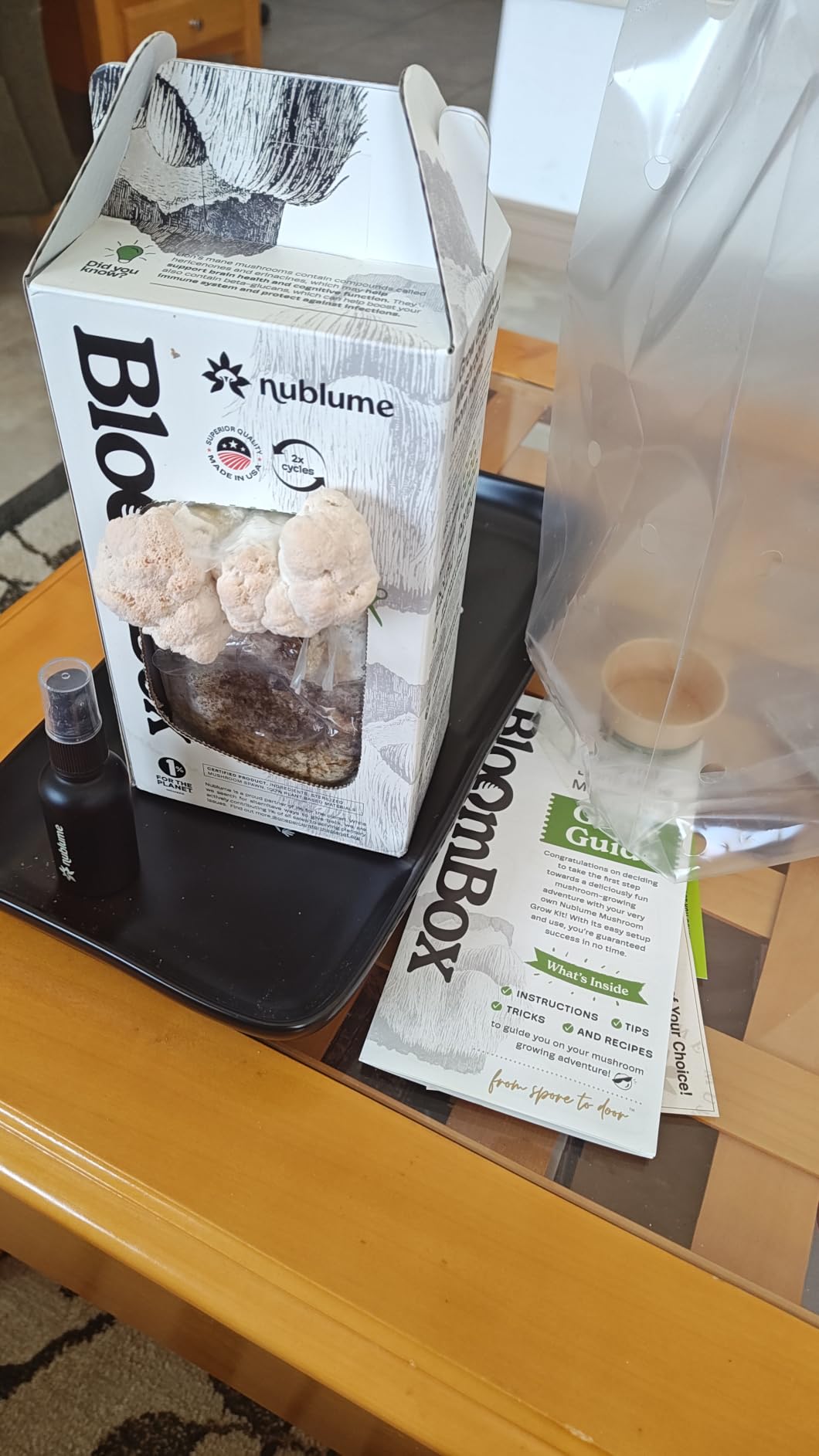 BloomBox Lion's Mane Mushroom Grow Kit - Spray & Grow - Pre-Inoculated Indoor Mushroom Farm - Brain Health & Focus - Harvest Fresh Gourmet Mushrooms in Days customer photo 2