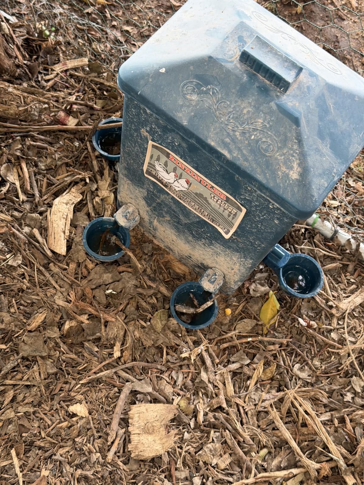 Automatic Port Chicken Feeder and Cup Waterer Set | Chicken Coop Accessories, No Waste Poultry Feeder, 3 Gallon/16 Pounds customer photo 1