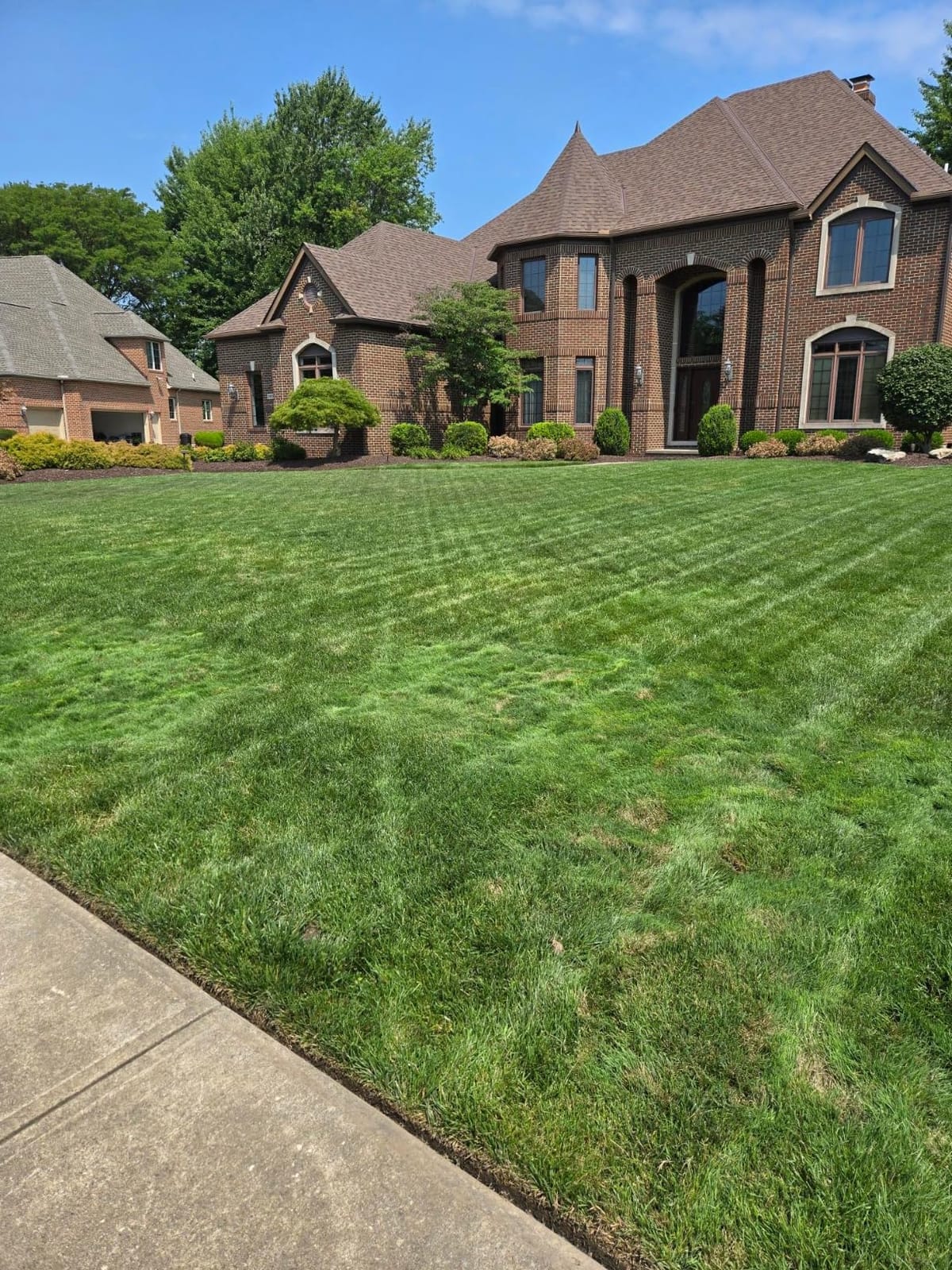 Greenworks 80V 8 in Cordless Electric Lawn Edger, Tool Only customer photo 1