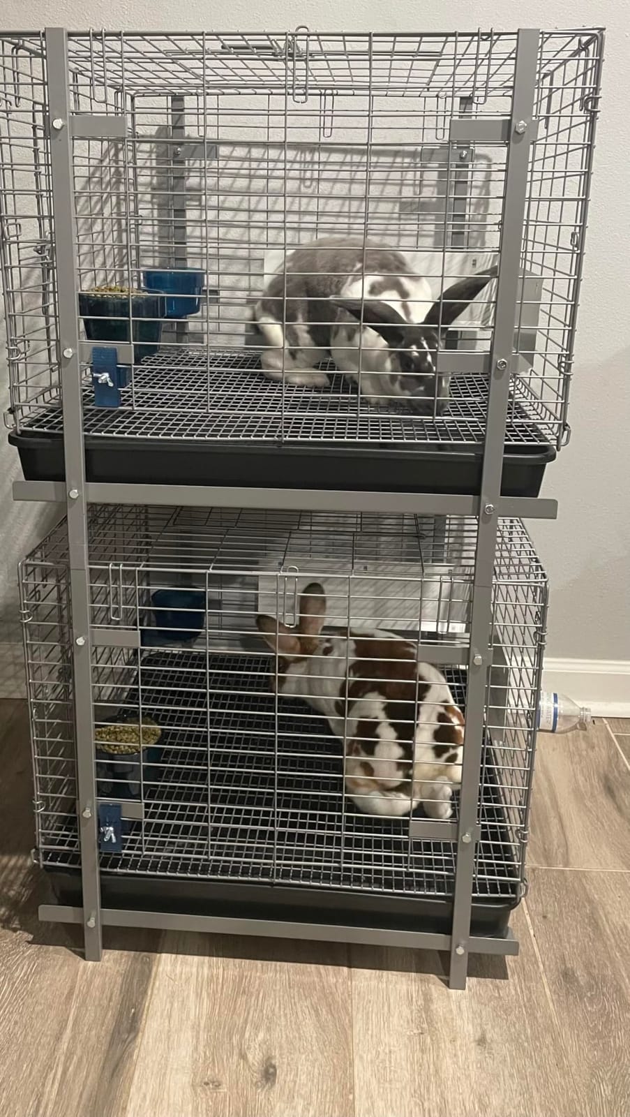 HOMESTEAD Rabbit Cage with Pull-Out Tray - 24 Inch Bunny Cage, Metal Rabbit Breeding Cage, Dual Access Doors, Waterproof Bottom & Urine Guard customer photo 1