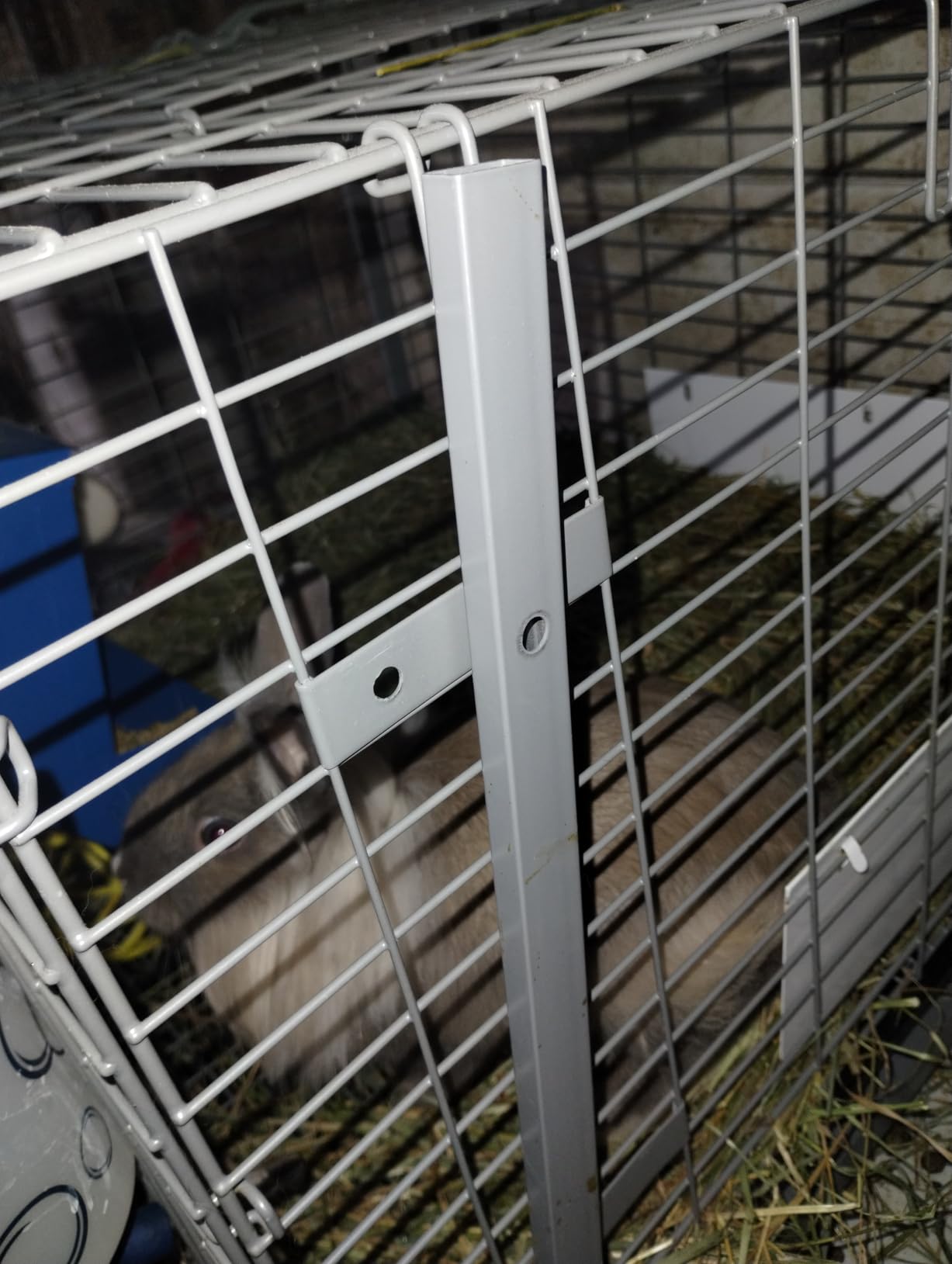 HOMESTEAD Rabbit Cage with Pull-Out Tray - 24 Inch Bunny Cage, Metal Rabbit Breeding Cage, Dual Access Doors, Waterproof Bottom & Urine Guard customer photo 2