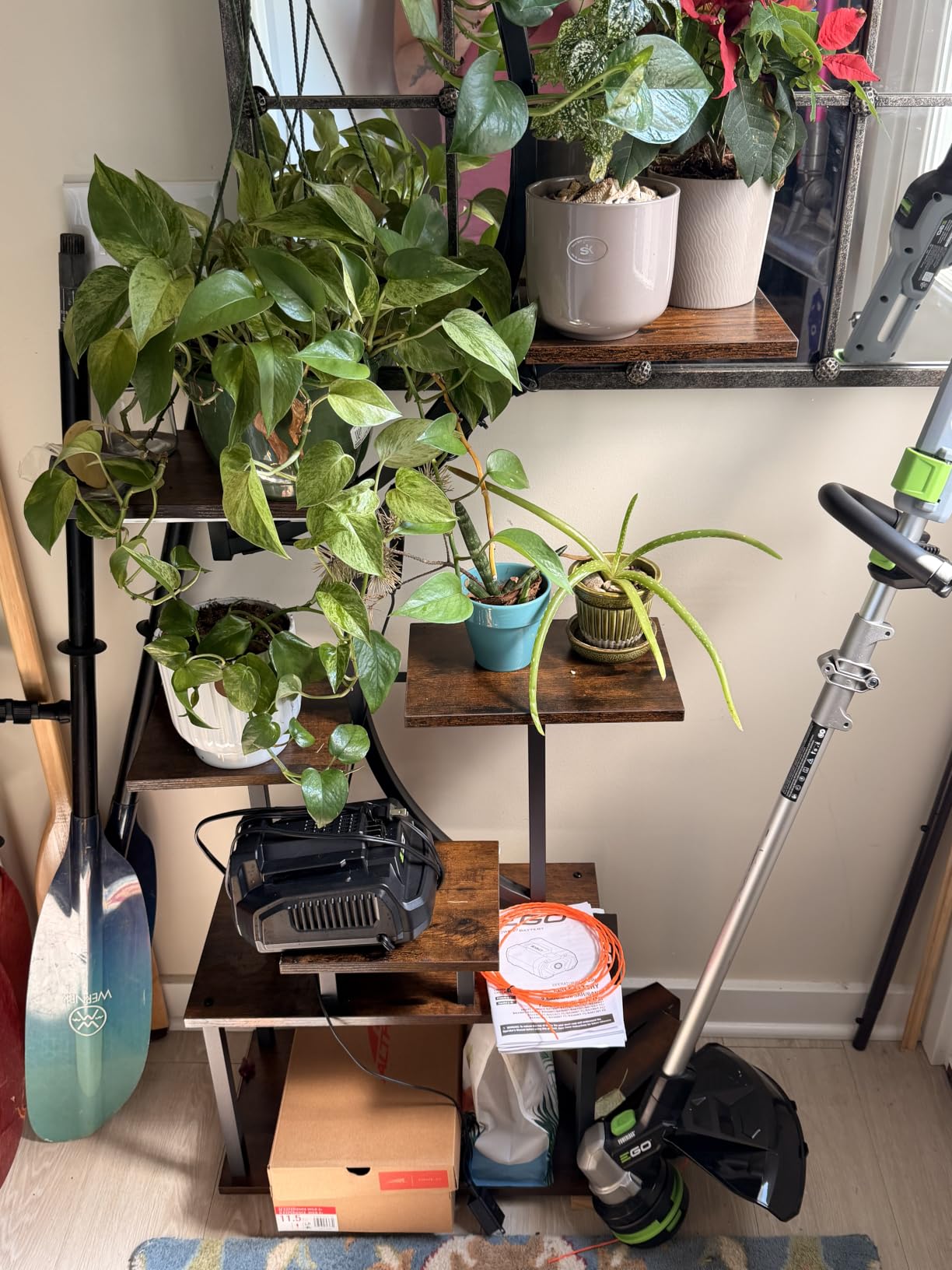Plant Stand with Grow Lights for Indoor Plants, 8-Tiered Tall Corner Plant Shelf with Full Spectrum Light, S-Shaped Space-Saving Narrow Flower Holder, Anti-Tip for Living Room Bedroom Office, Brown customer photo 1