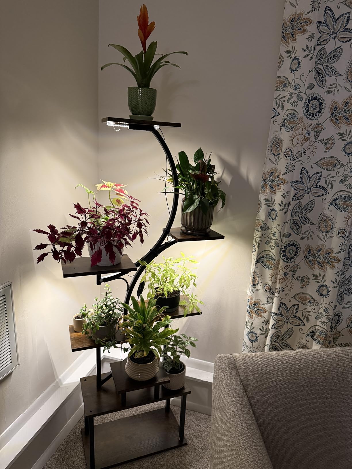 Plant Stand with Grow Lights for Indoor Plants, 8-Tiered Tall Corner Plant Shelf with Full Spectrum Light, S-Shaped Space-Saving Narrow Flower Holder, Anti-Tip for Living Room Bedroom Office, Brown customer photo 2