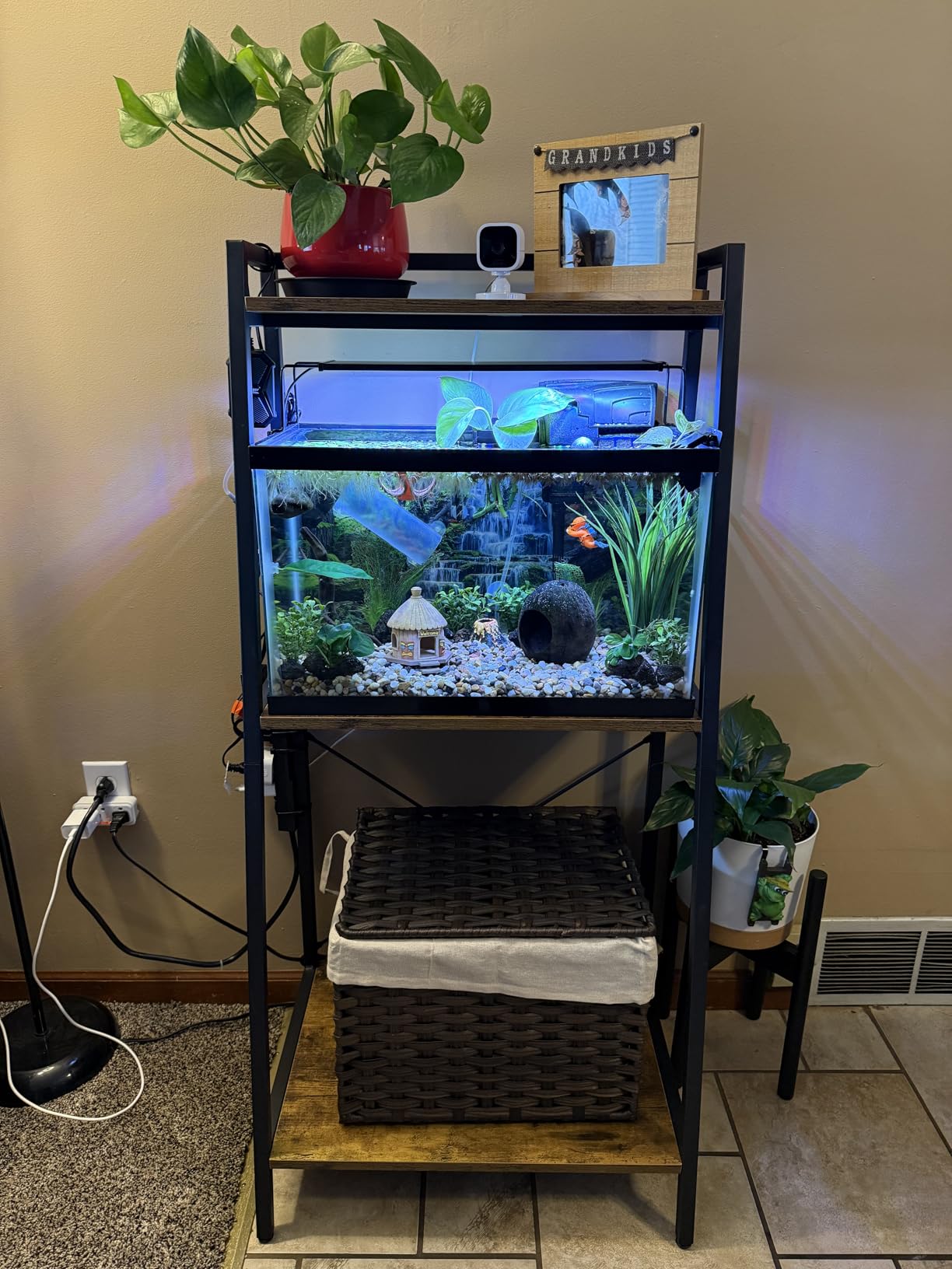 GDLF 5-10 Gallon Fish Tank Stand with Plant Shelf Metal Aquarium Stand with Storage Shelf Fits Turtle, Reptile Tank customer photo 1