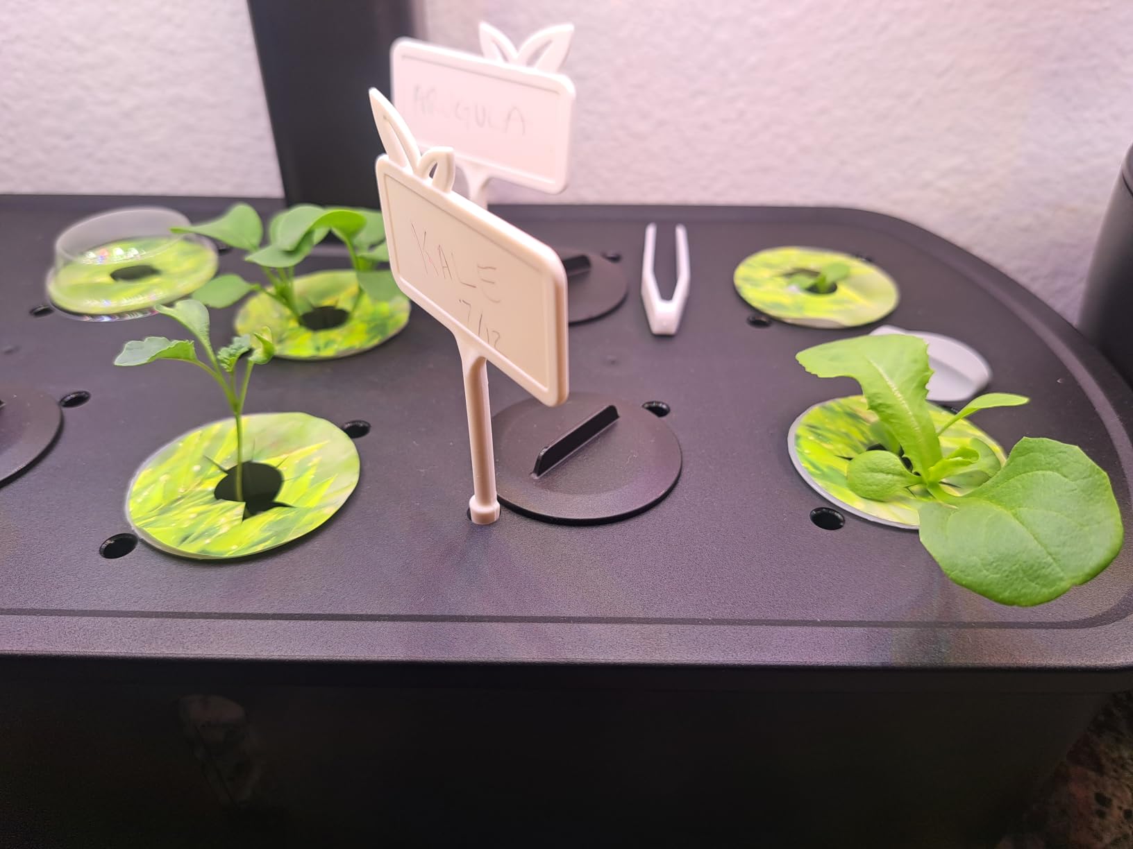 LetPot LPH-Air Hydroponics Growing System Kits, APP & WiFi Controlled Smart Indoor Garden with Adjustable 24W Grow Light Full Spectrum, 10 Pods Planter Indoor Gardening for Gifts, Kitchen, Vegetable customer photo 1